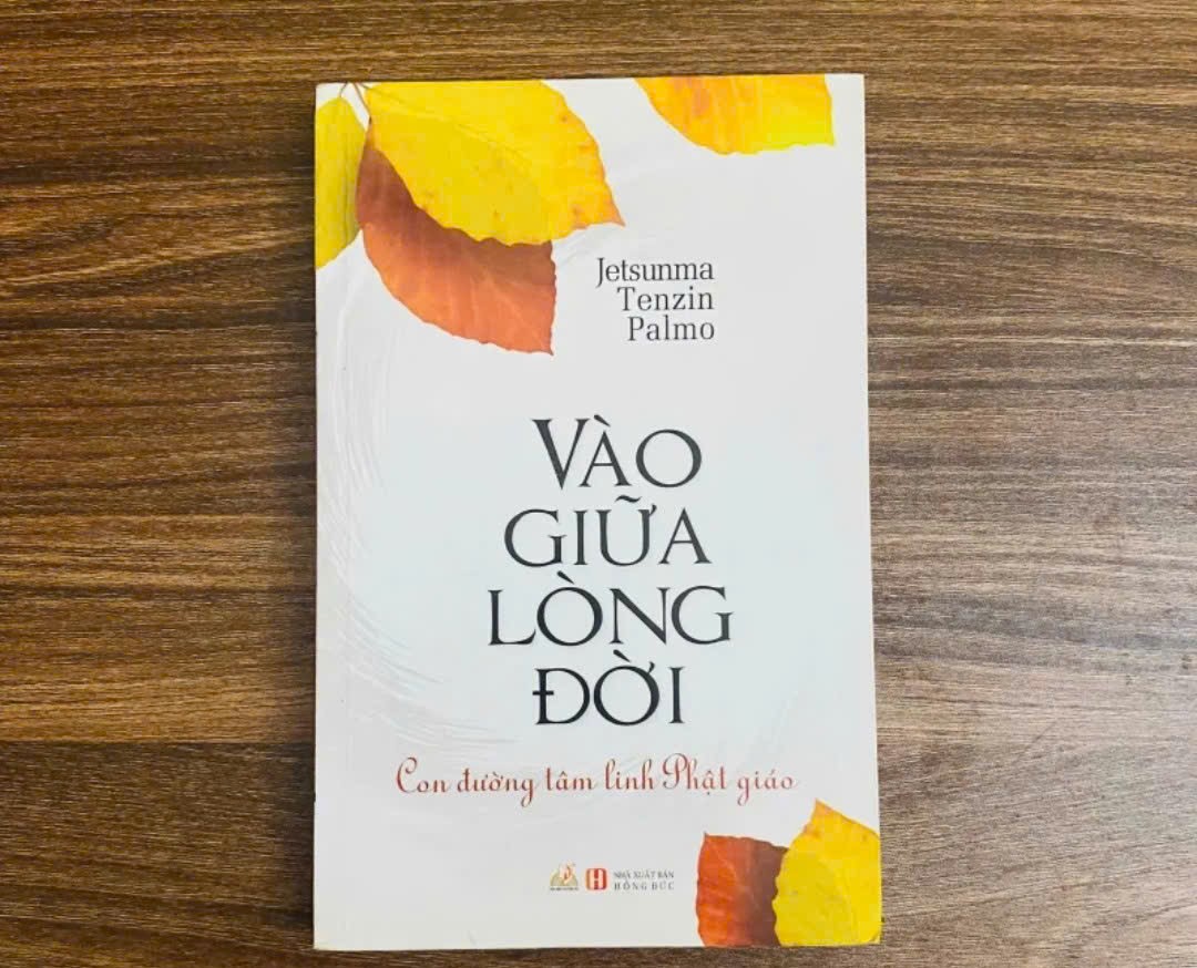 Vào Giữa Lòng Đời - Jetsunma Tenzin Palmo (Sách kỹ năng) NBHT060526