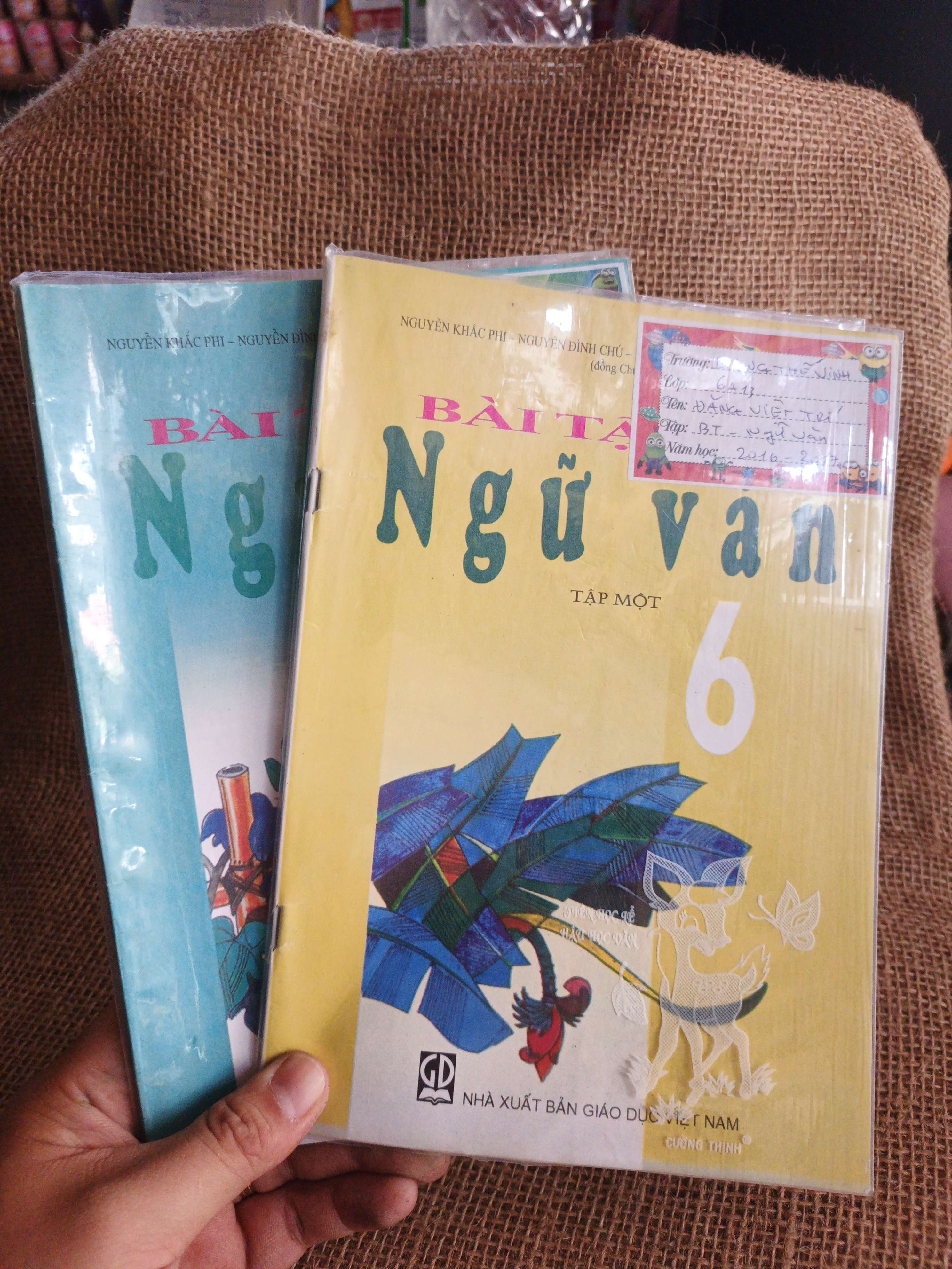 Bài tập Ngữ Văn 6 (bộ 2 tập) 2016 mới 90% (Sách giáo khoa - giáo trình) HCM060526