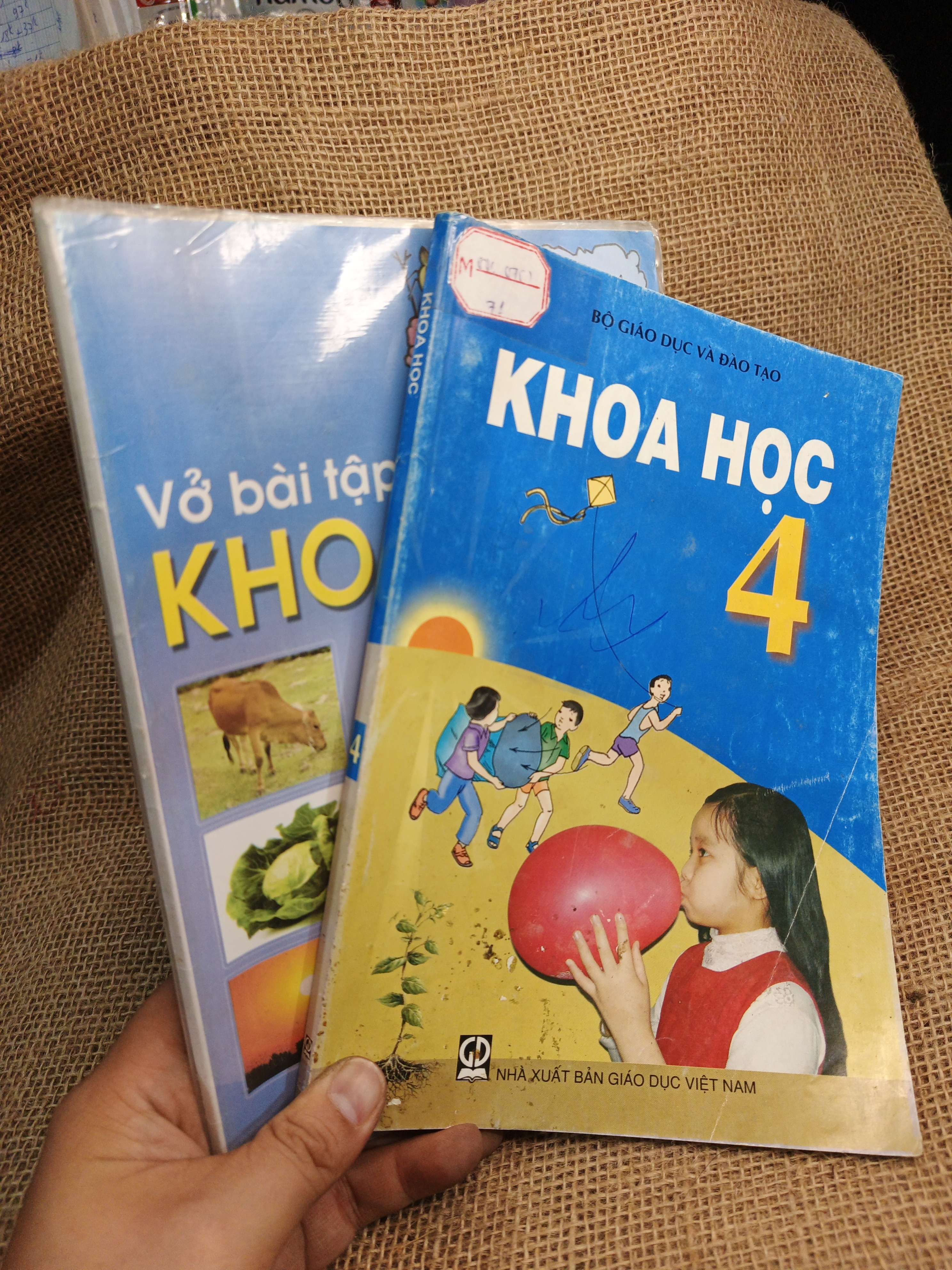 Combo Khoa học và Vở bài tập Khoa học 4 2010 mới 80% (Sách giáo khoa - giáo trình) HCM060526