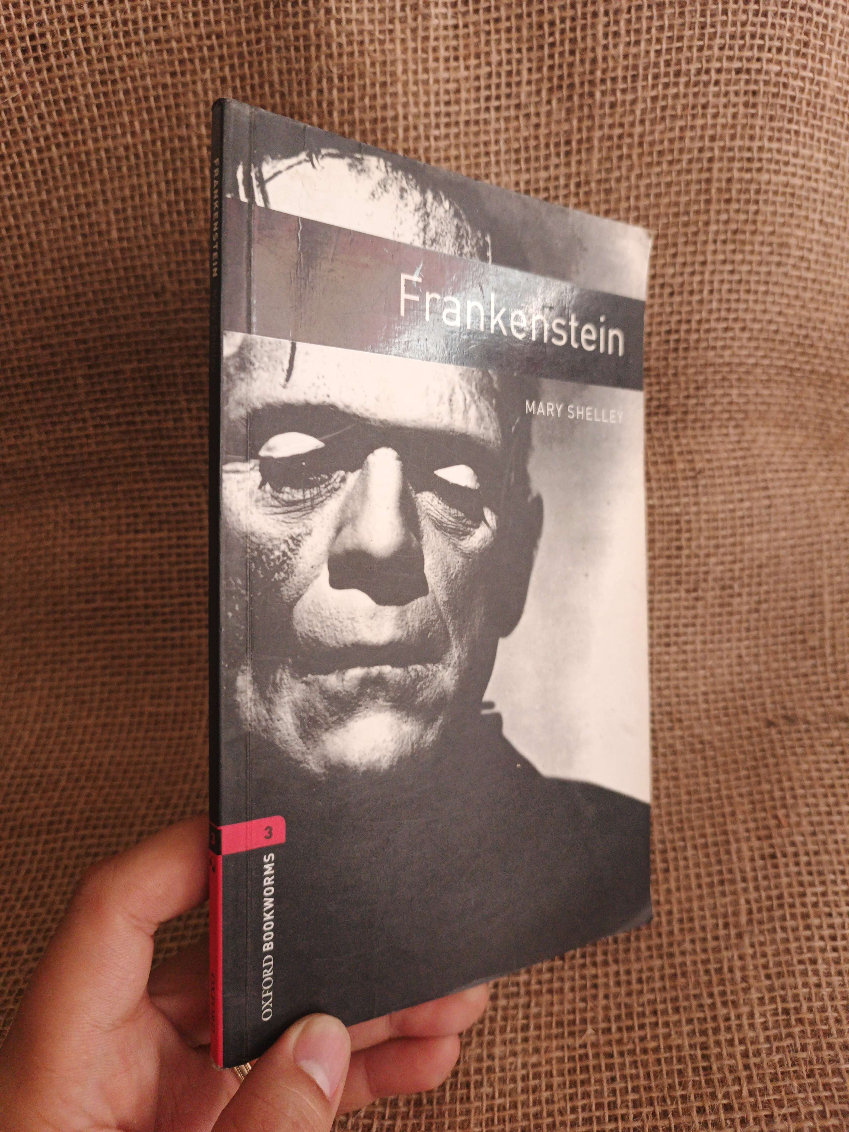Frankenstein - Mary Shelley mới 80% (Sách ngoại) HCM060526