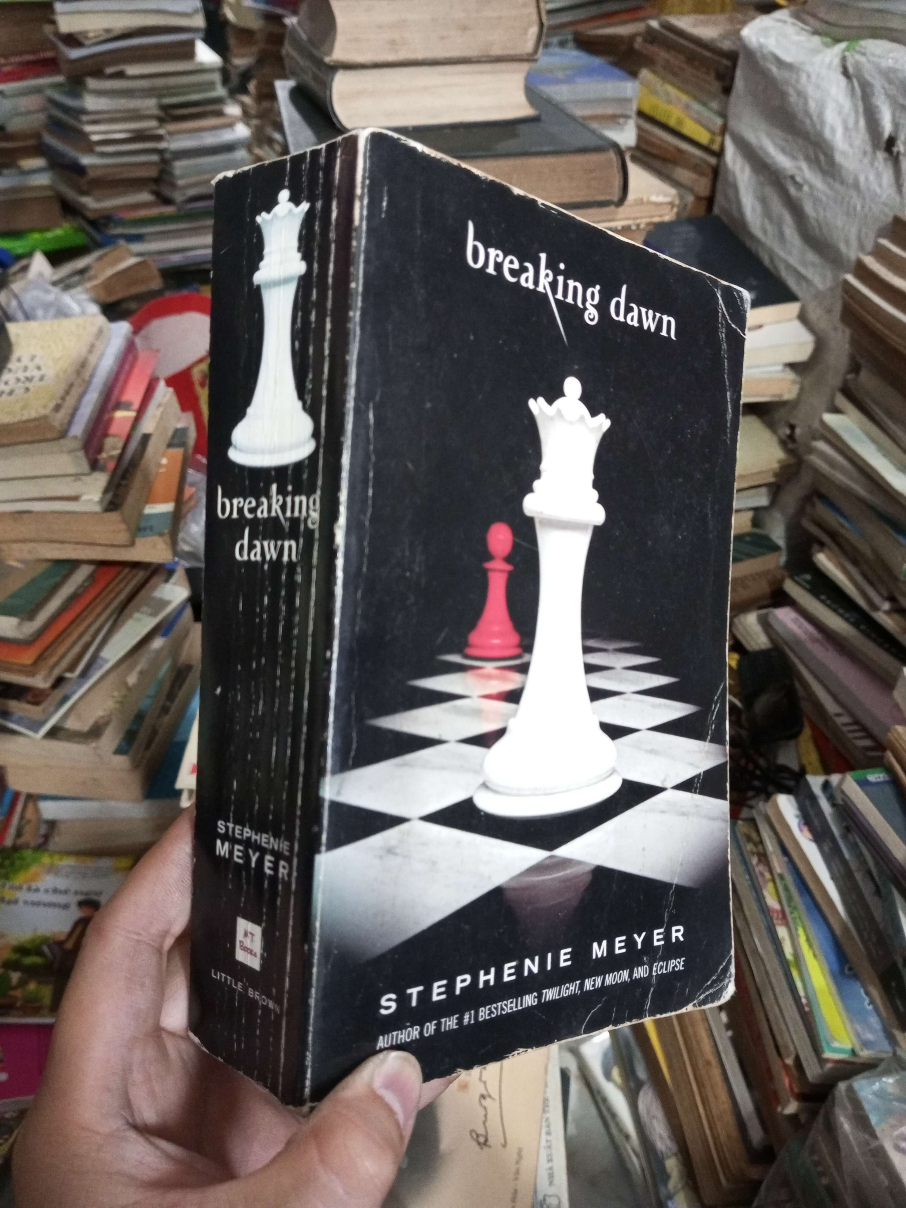 Breaking dawn - Stephen Mayer (Văn học nước ngoài) KSX060526