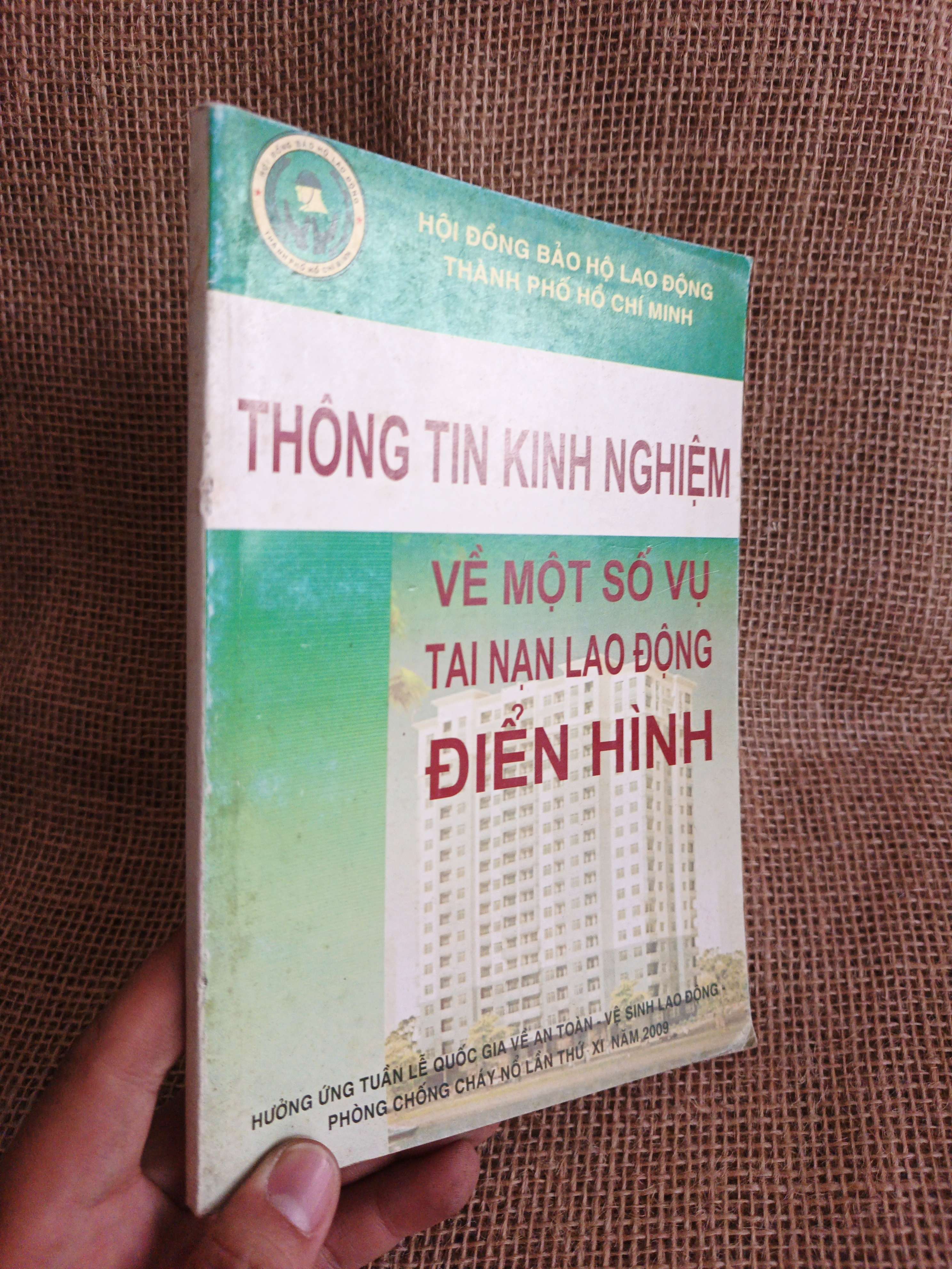 Thông tin kinh nghiệm về một số vụ tai nạn lao động điển hình 2009 mới 80% (Sách giáo khoa - giáo trình) HCM060526