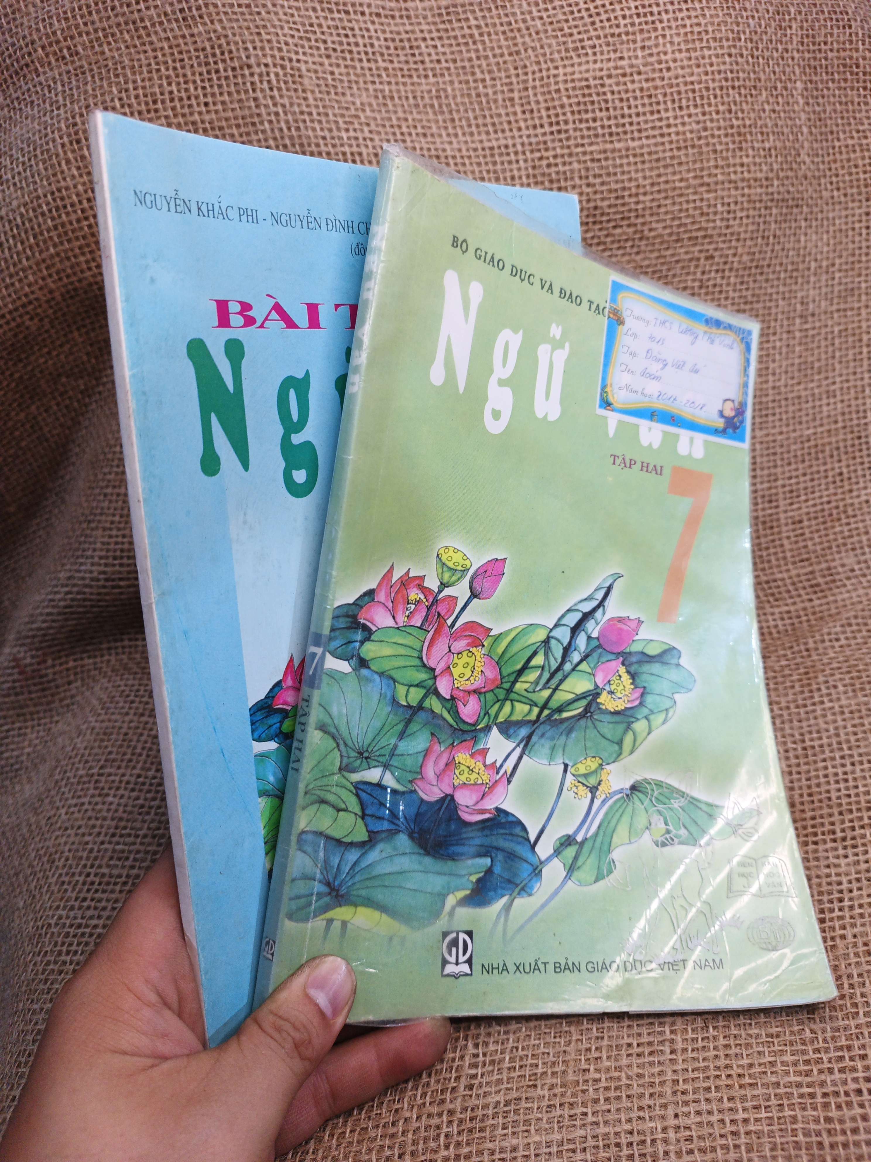 Combo Ngữ văn và Bài tập Ngữ văn 7 tập hai 2017 mới 80% (Sách giáo khoa - giáo trình) HCM060526