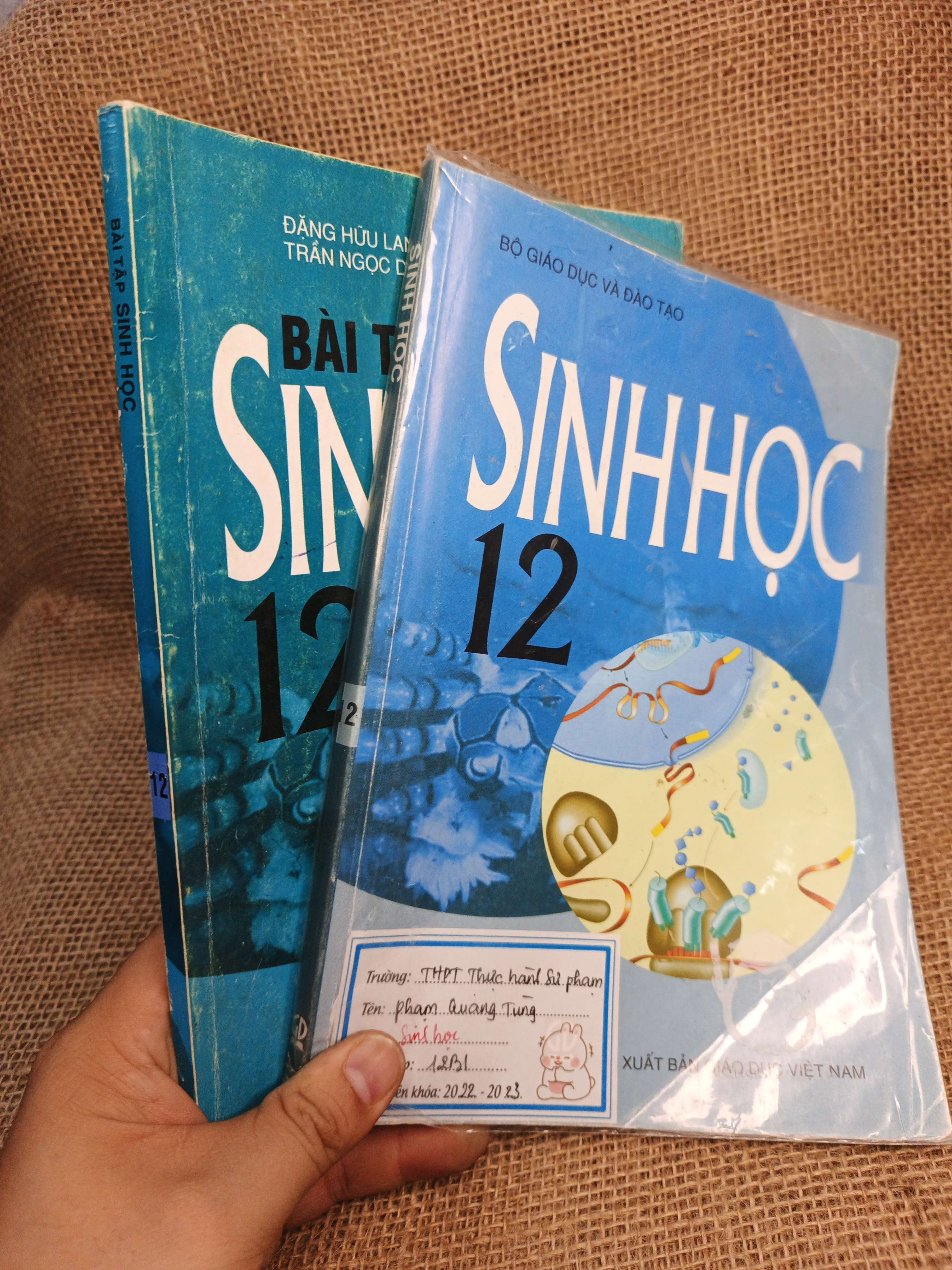 Combo Sinh học và Bài tập Sinh học 12 2022 mới 80% (Sách giáo khoa - giáo trình) HCM060526