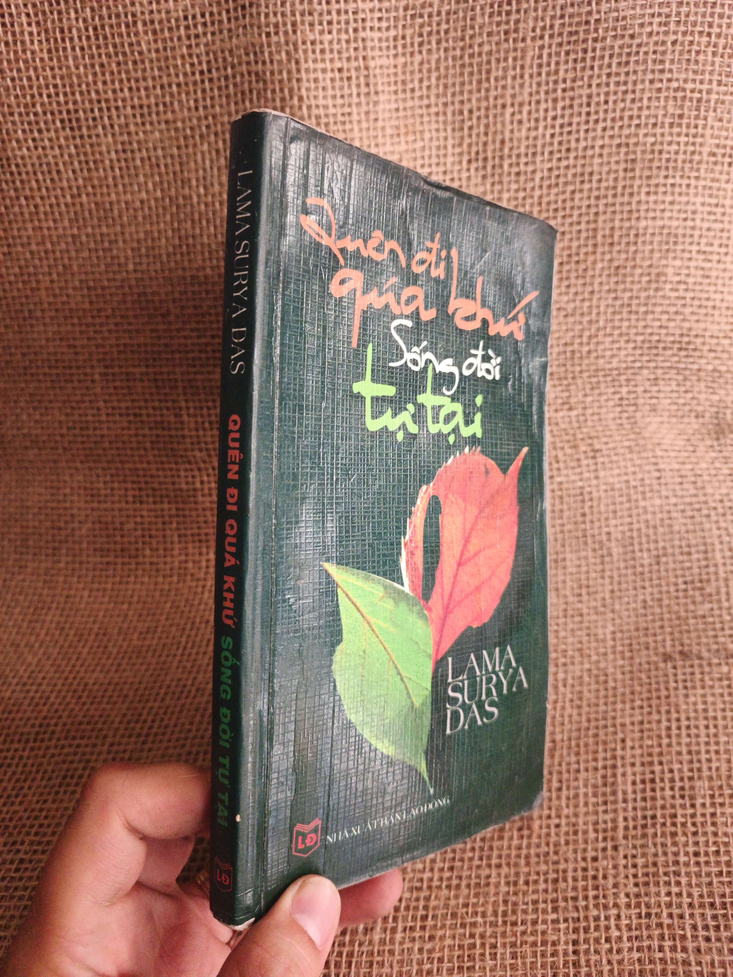 Quên đi quá khứ, sống đời tự tại - Lama Surya Das 2006 mới 80% ố ẫm (Phật giáo) HCM060526
