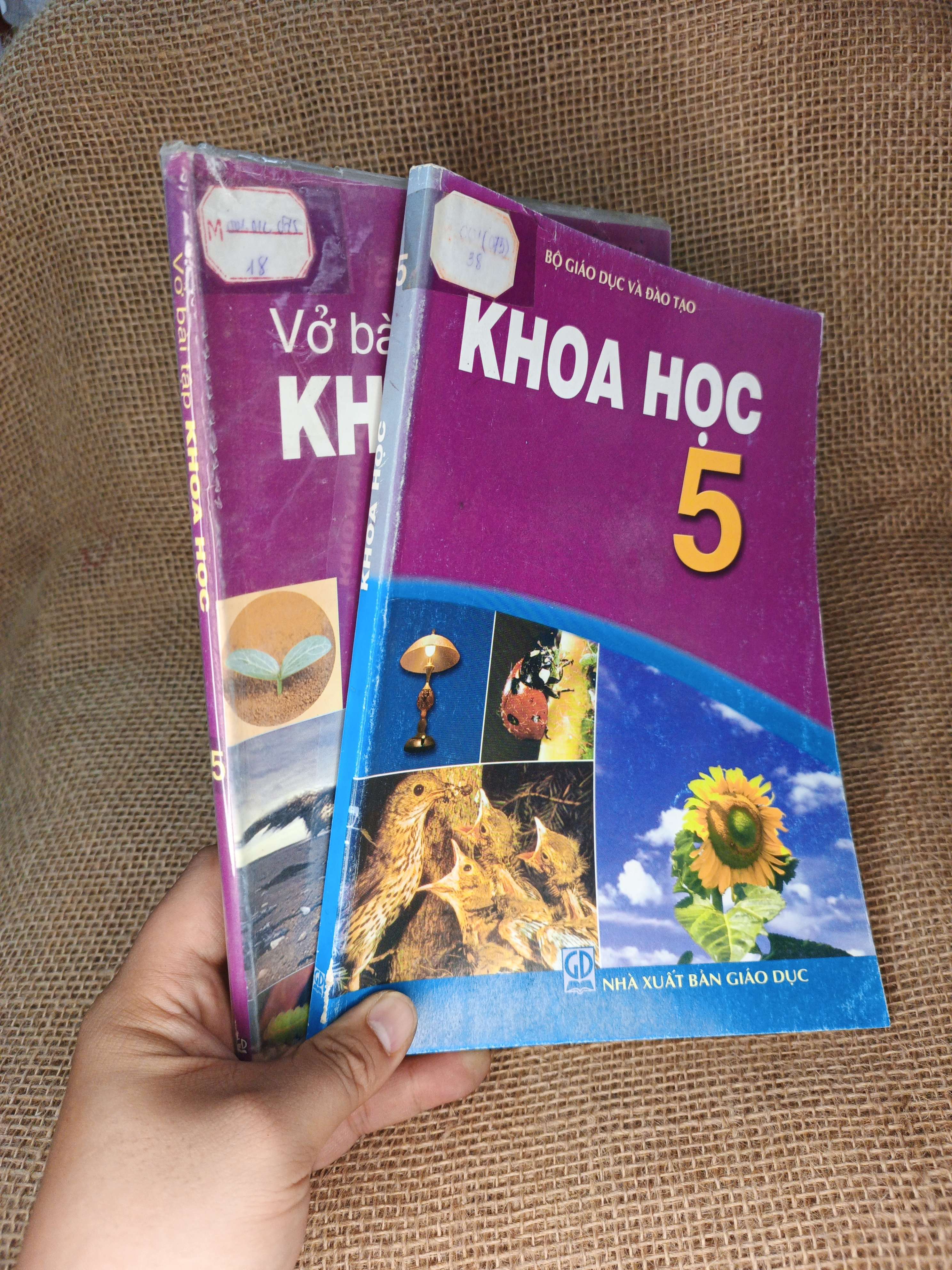 Combo Khoa học và vở bài tập Khoa học 5 2006 mới 80% a (Sách giáo khoa - giáo trình) HCM060526