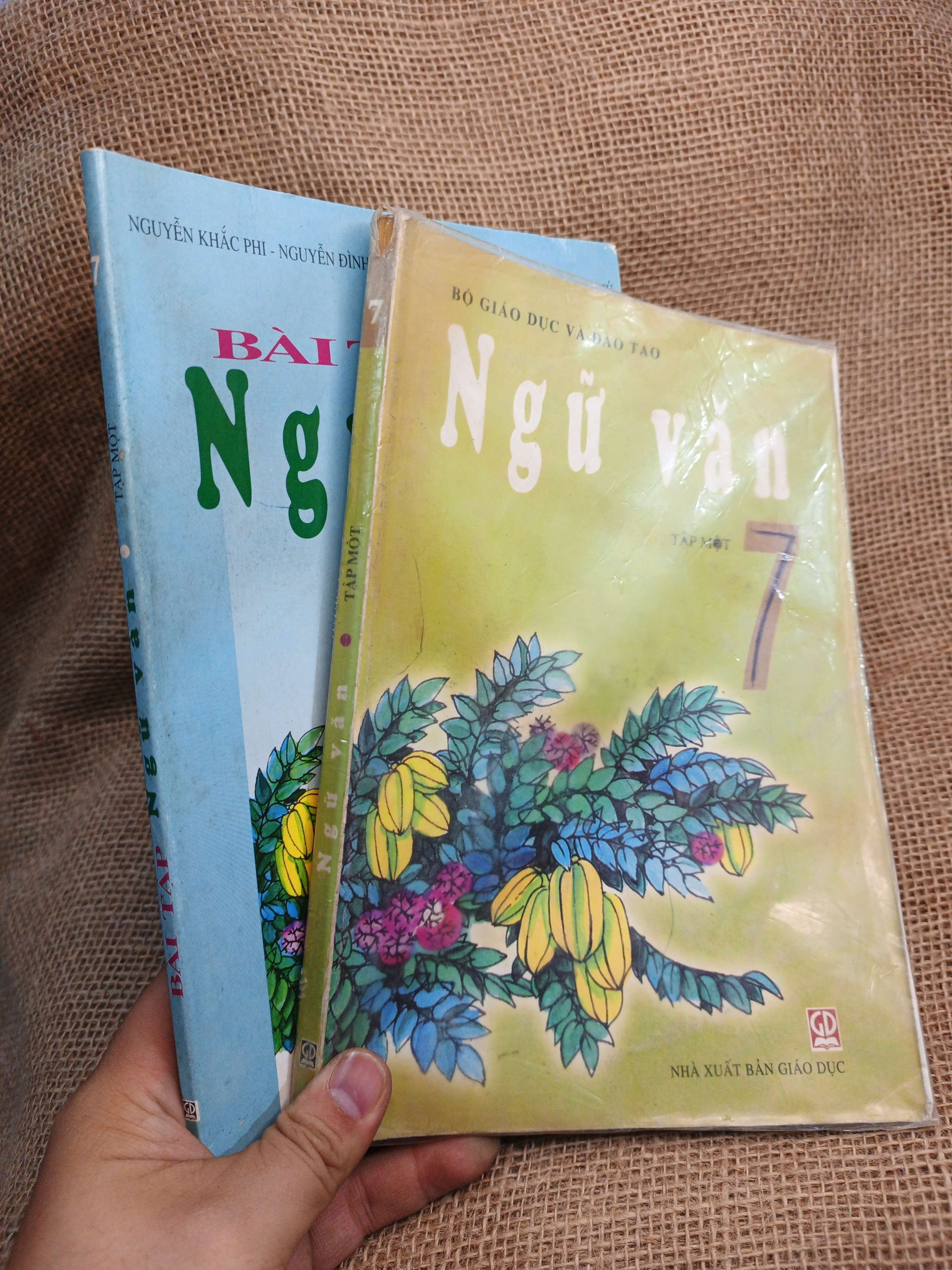 Combo Ngữ văn và Bài tập Ngữ văn 7 tập một 2005 mới 80% (Sách giáo khoa - giáo trình) HCM060526