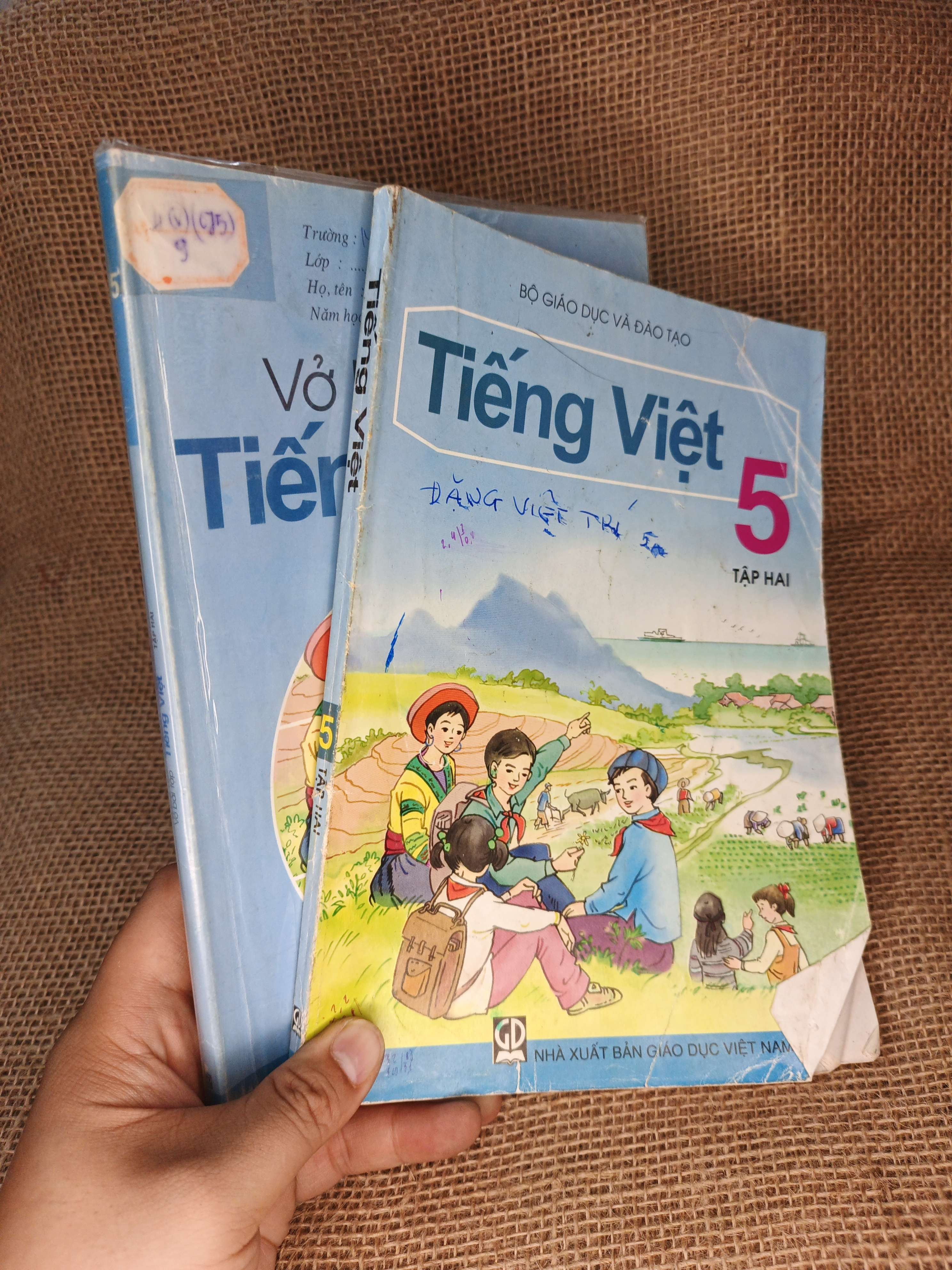 Combo Tiếng Việt và Bài tập Tiếng Việt 5 tập hai 2015 mới 80% (Sách giáo khoa - giáo trình) HCM060526