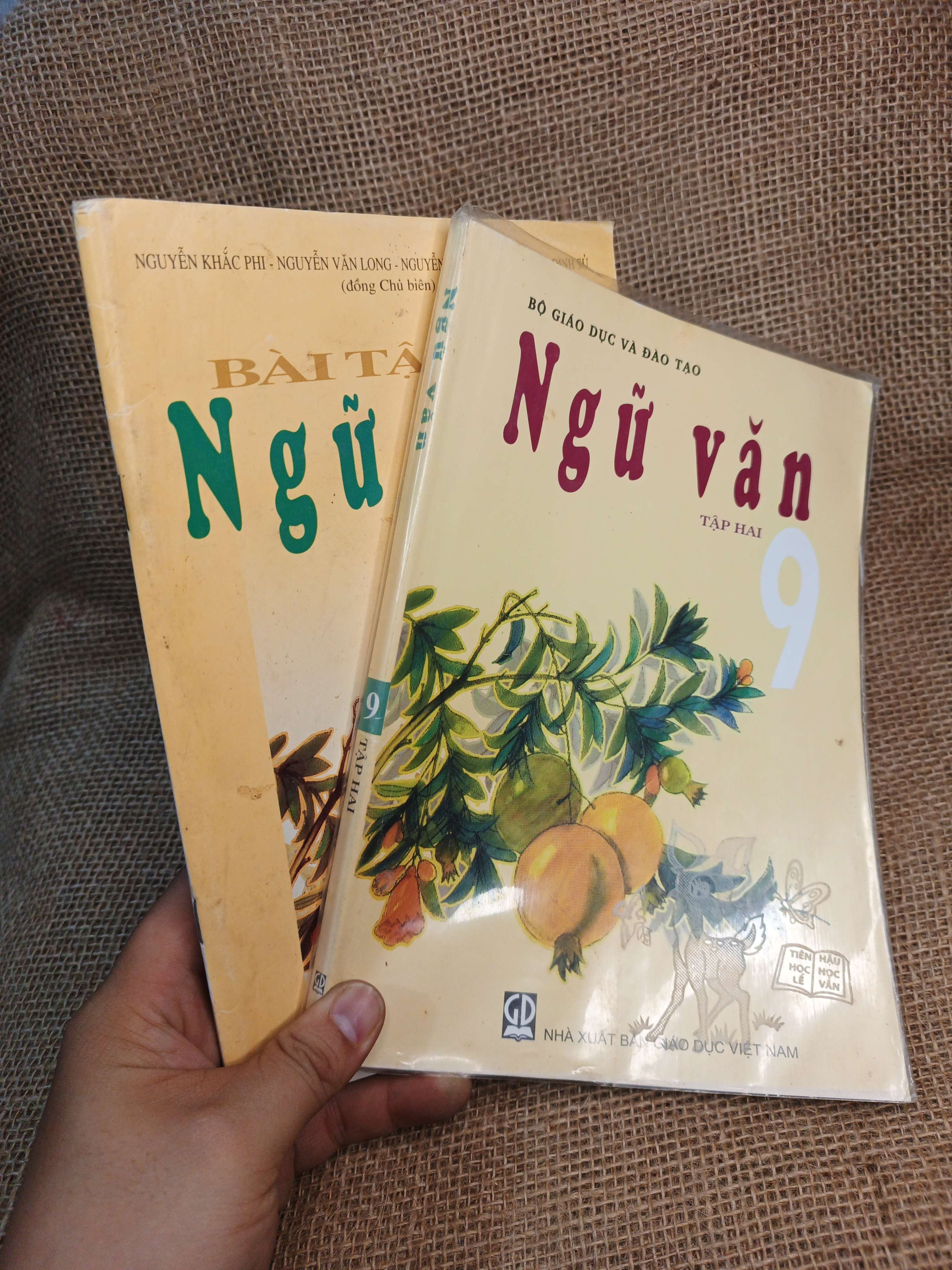 Combo Ngữ văn và Bài tập Ngữ văn 9 tập hai 2019 mới 80% (Sách giáo khoa - giáo trình) HCM060526