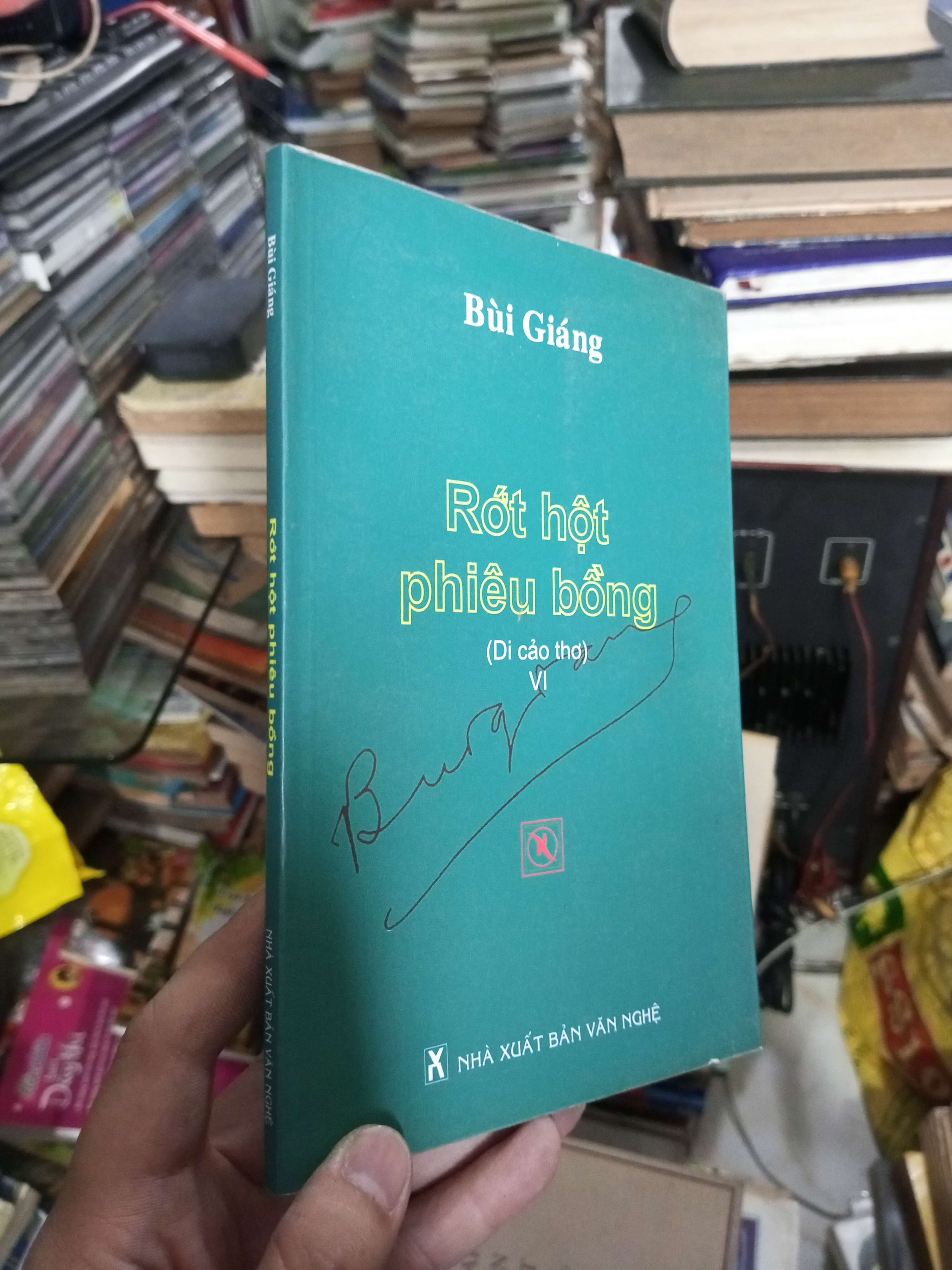 Rớt hột phiêu bồng - Bùi Giáng 2008 (Văn học Việt Nam) KSX060526