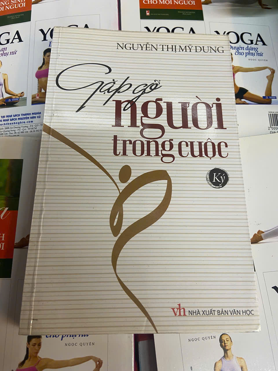 Gặp gỡ người trong cuộc - Nguyễn Thị Mỹ Dung (Sách văn học) VAVO
