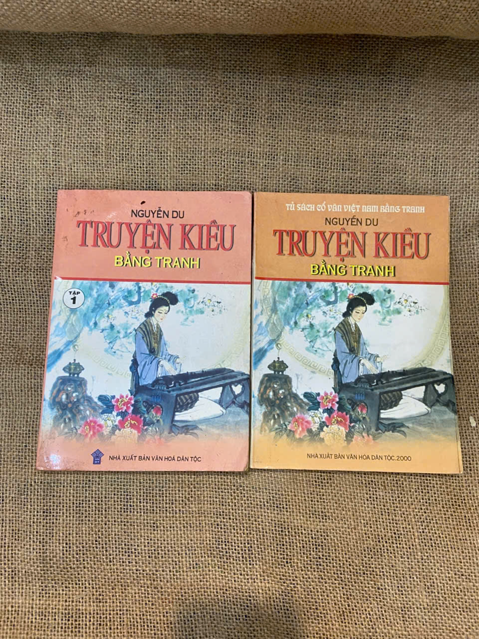 Truyện Kiều bằng tranh - Nguyễn Du Mới 80% (Sách văn học) NSX100526