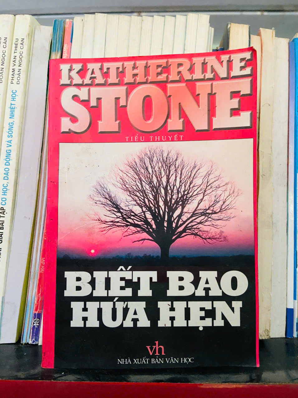 Biết bao hứa hẹn - Katherine Stone (Văn học nước ngoài) VAVO