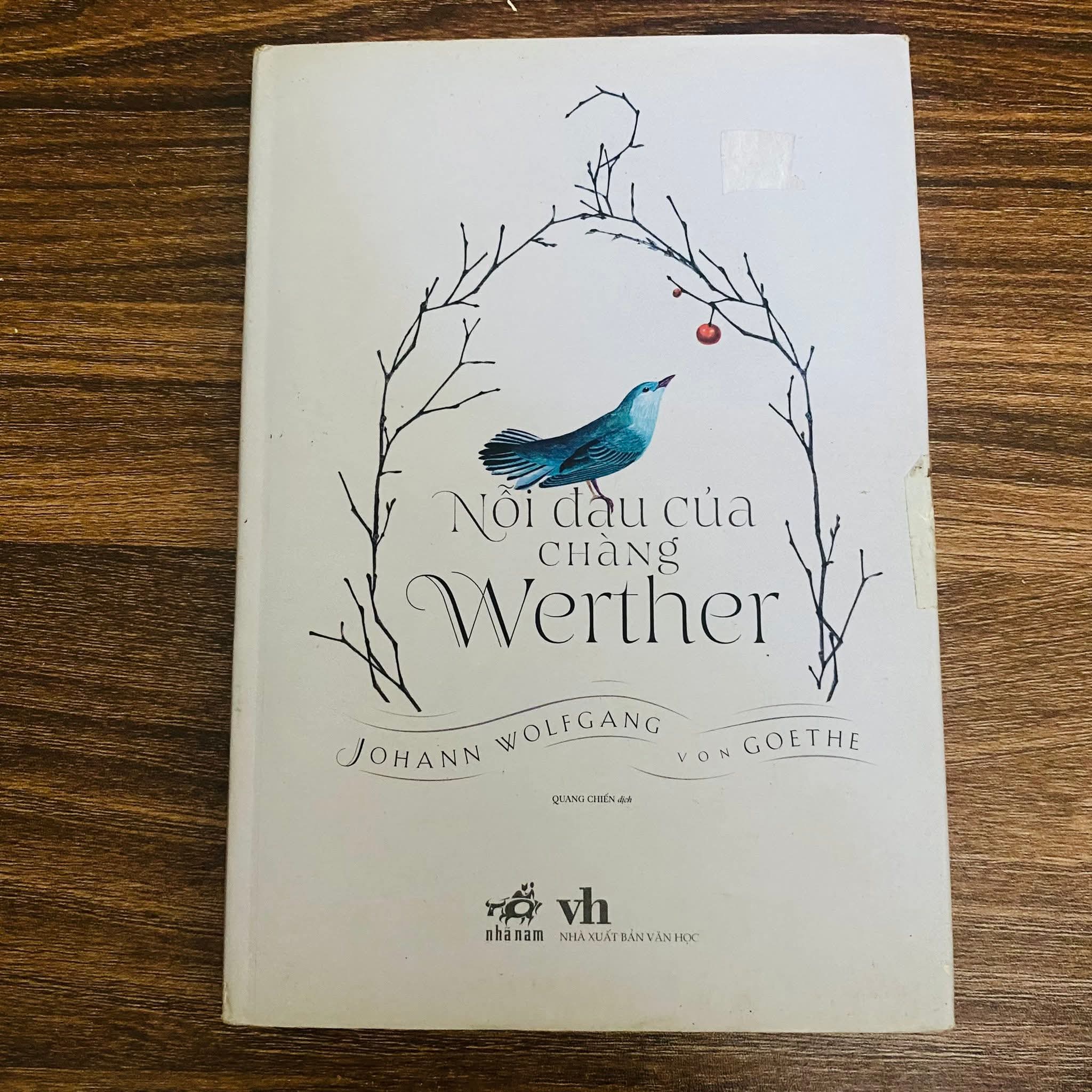 Nỗi đau của chàng Wether - bìa cứng (Sách văn học) NBHT