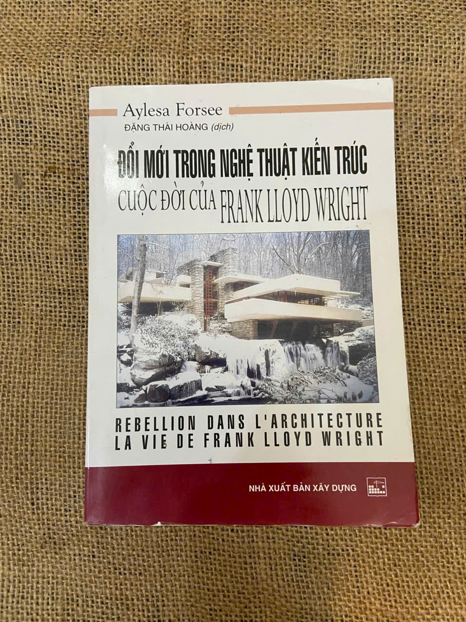 Đổi mới trong nghệ thuật kiến trúc: Cuộc đời của Frank Lloyd Wright - Aylesa Forsee Mới 80% (Sách văn học) NSX100526
