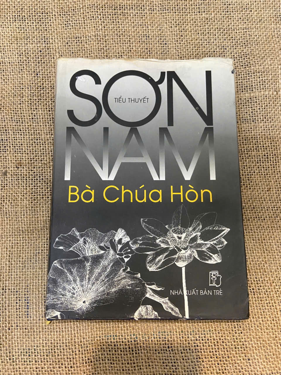 Bà Chúa Hòn - Sơn Nam Mới 90% (Sách văn học) NSX100526