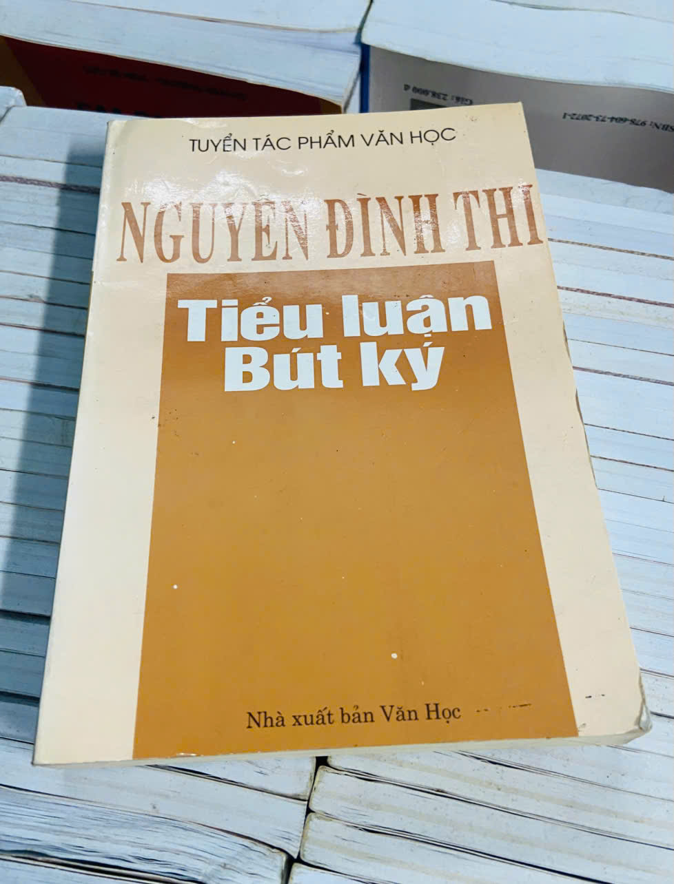 Tiểu luận bút ký Nguyễn Đình Thi (Văn học Việt Nam) VAVO