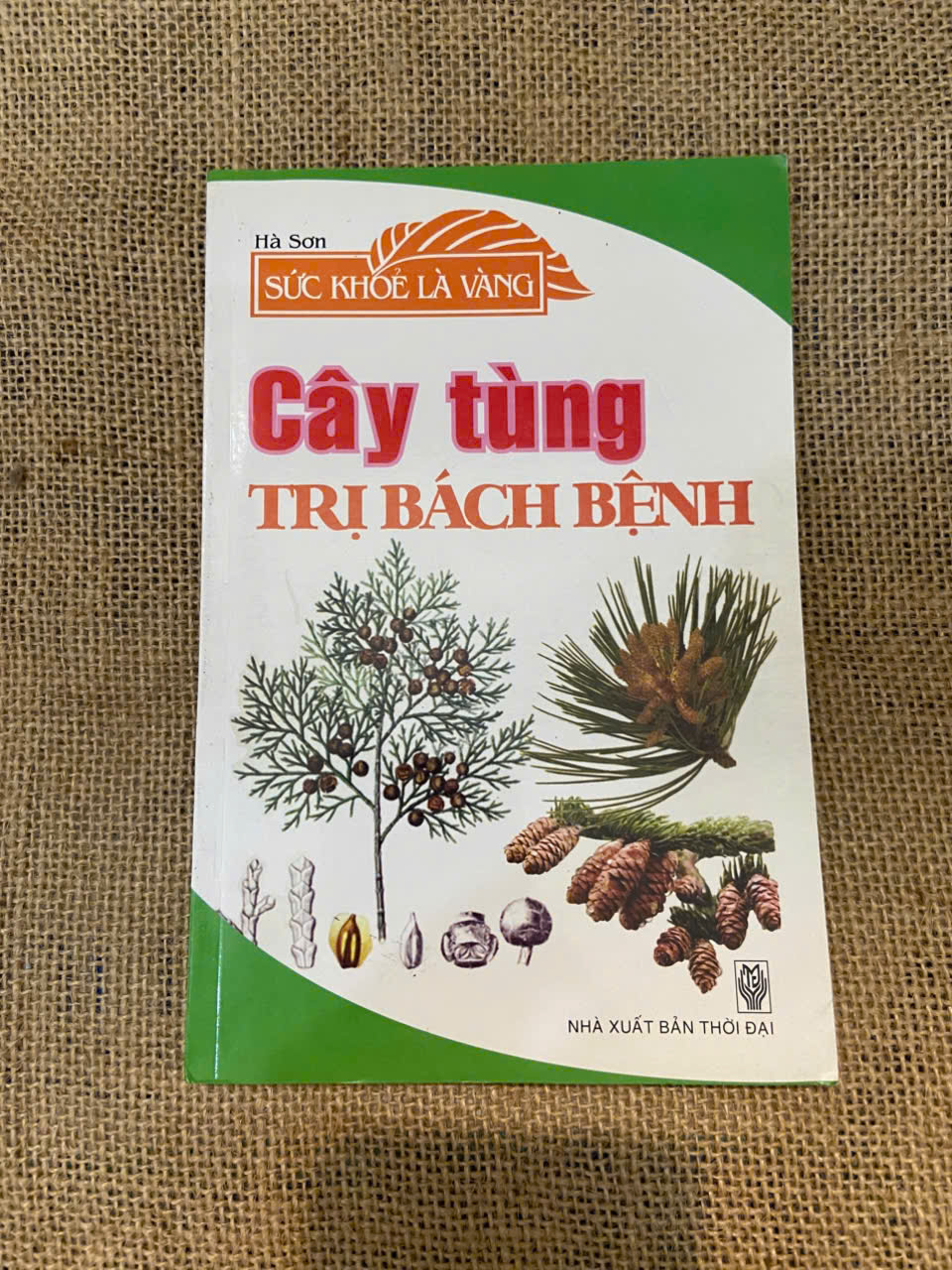 Cây Tùng trị bách bệnh - Hà Sơn Mới 90% (Sách Y học - Sức khỏe - Thể thao) NSX100526