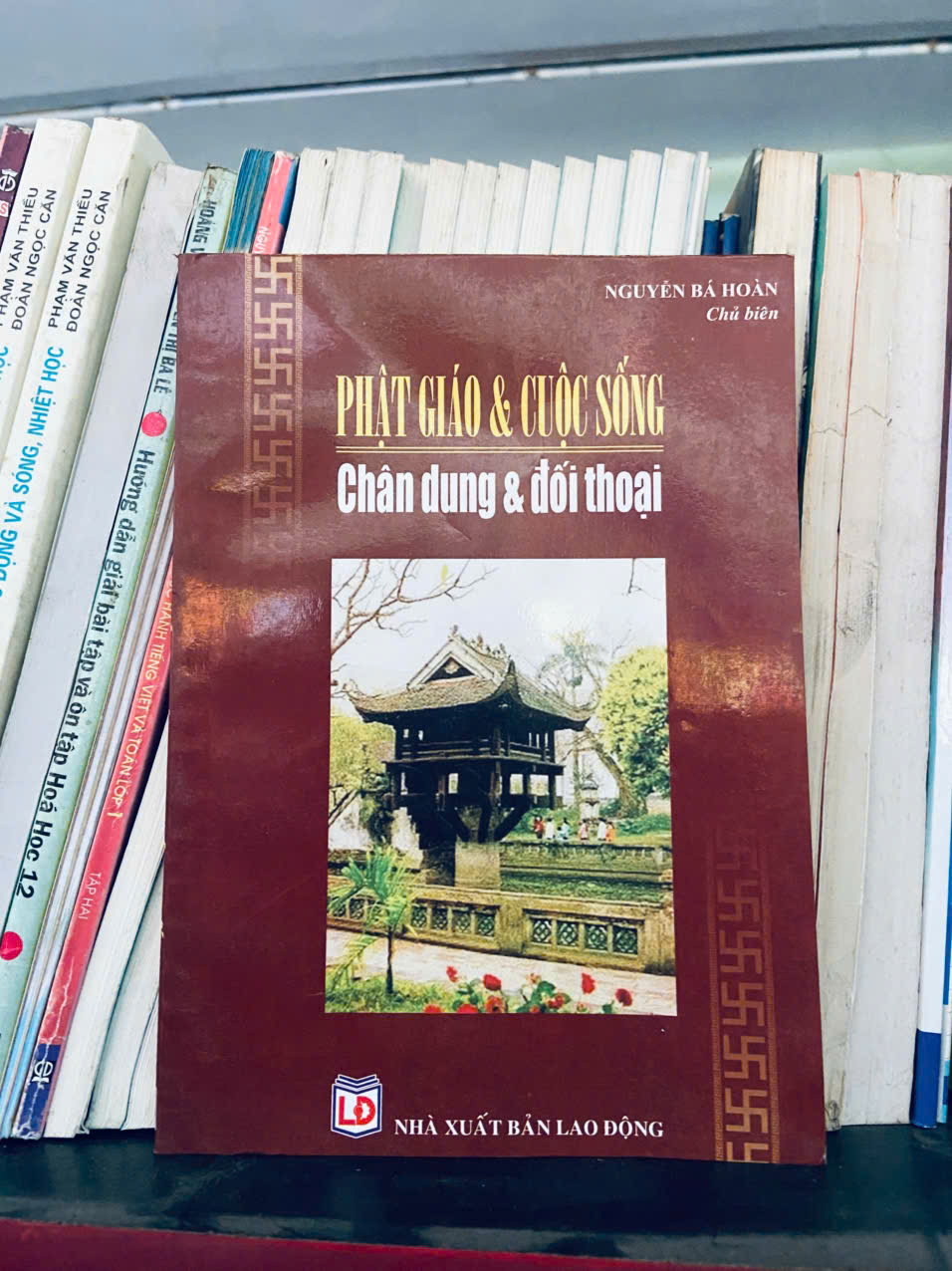 Thủy Long Kinh: Long mạch bí truyền (Sách kiến thức tổng hợp) VAVO