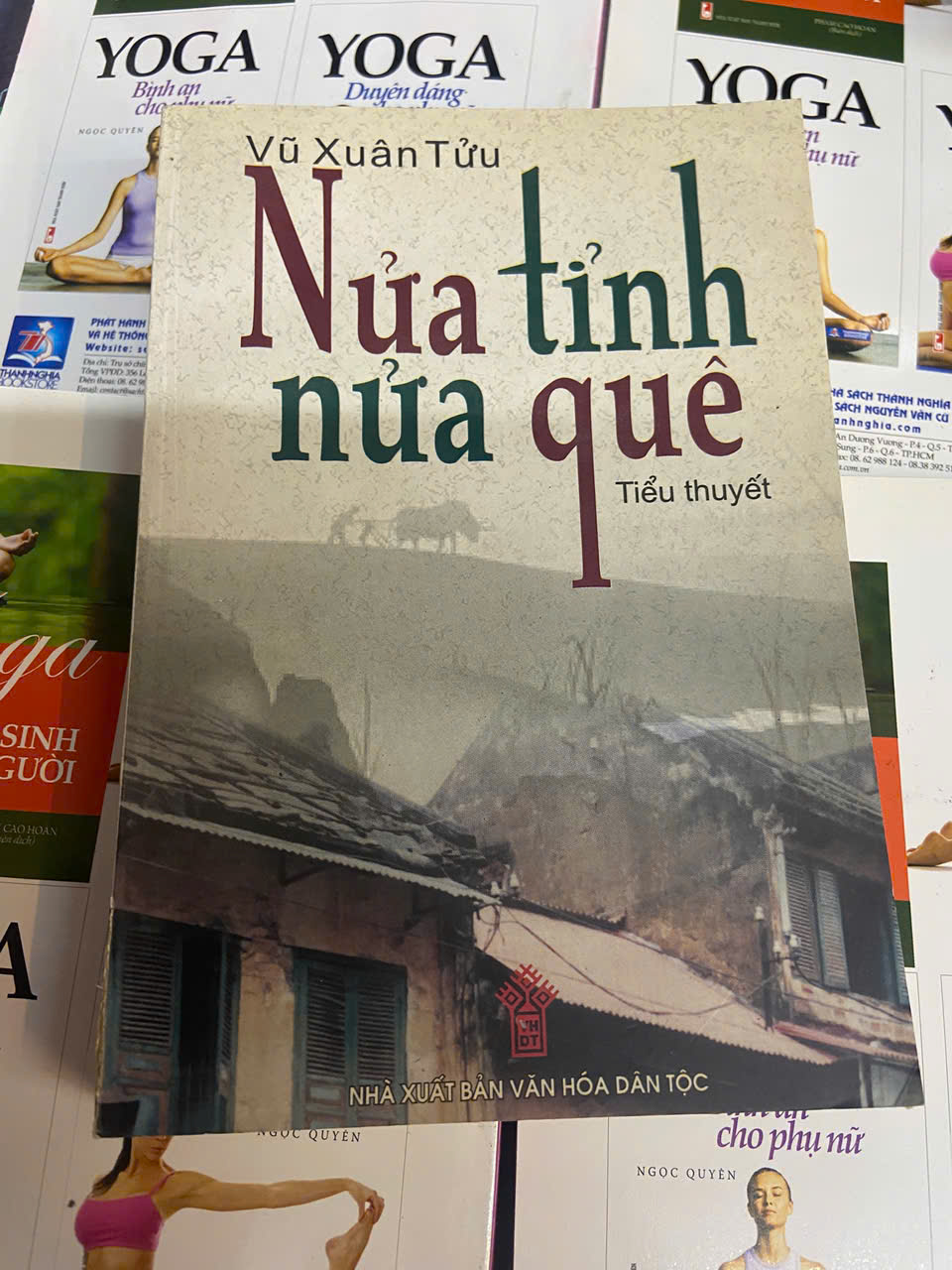Nửa tỉnh nửa quê - Vũ Xuân Tửu (Sách văn học) VAVO