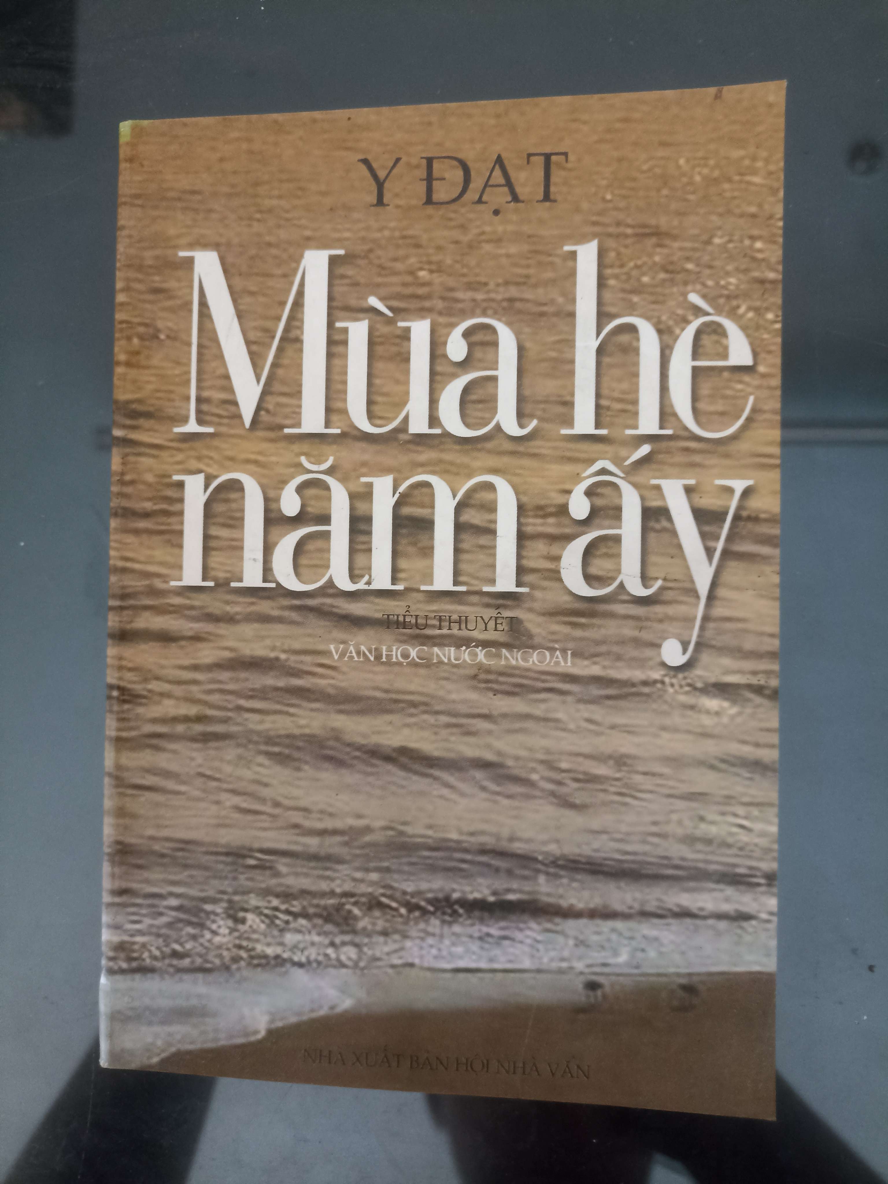 Mùa Hè Năm Ấy - Y Đạt (Văn học Việt Nam) VAVO