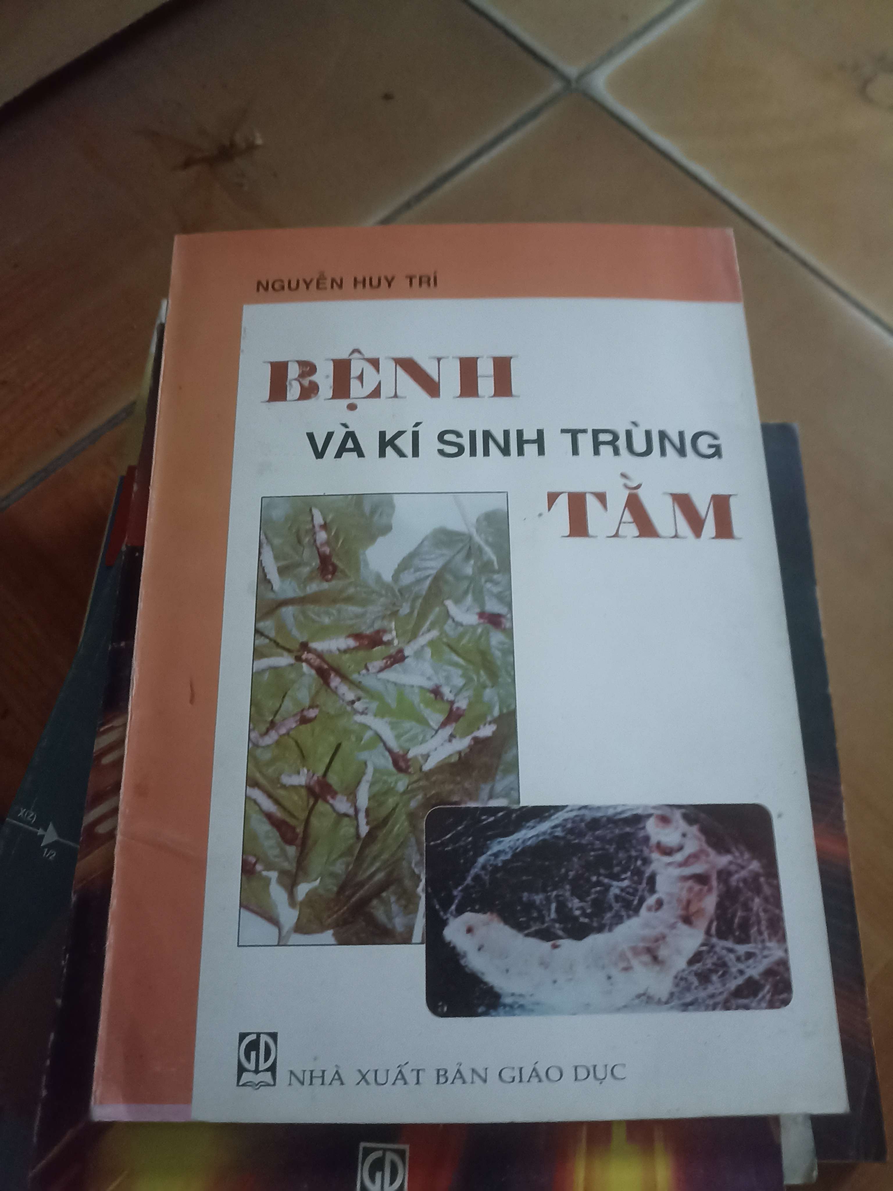 Bệnh và kí sinh trùng tằm - Nguyễn Huy Trí 1998 (Sách giáo khoa - giáo trình) VAVO-AK4ST4
