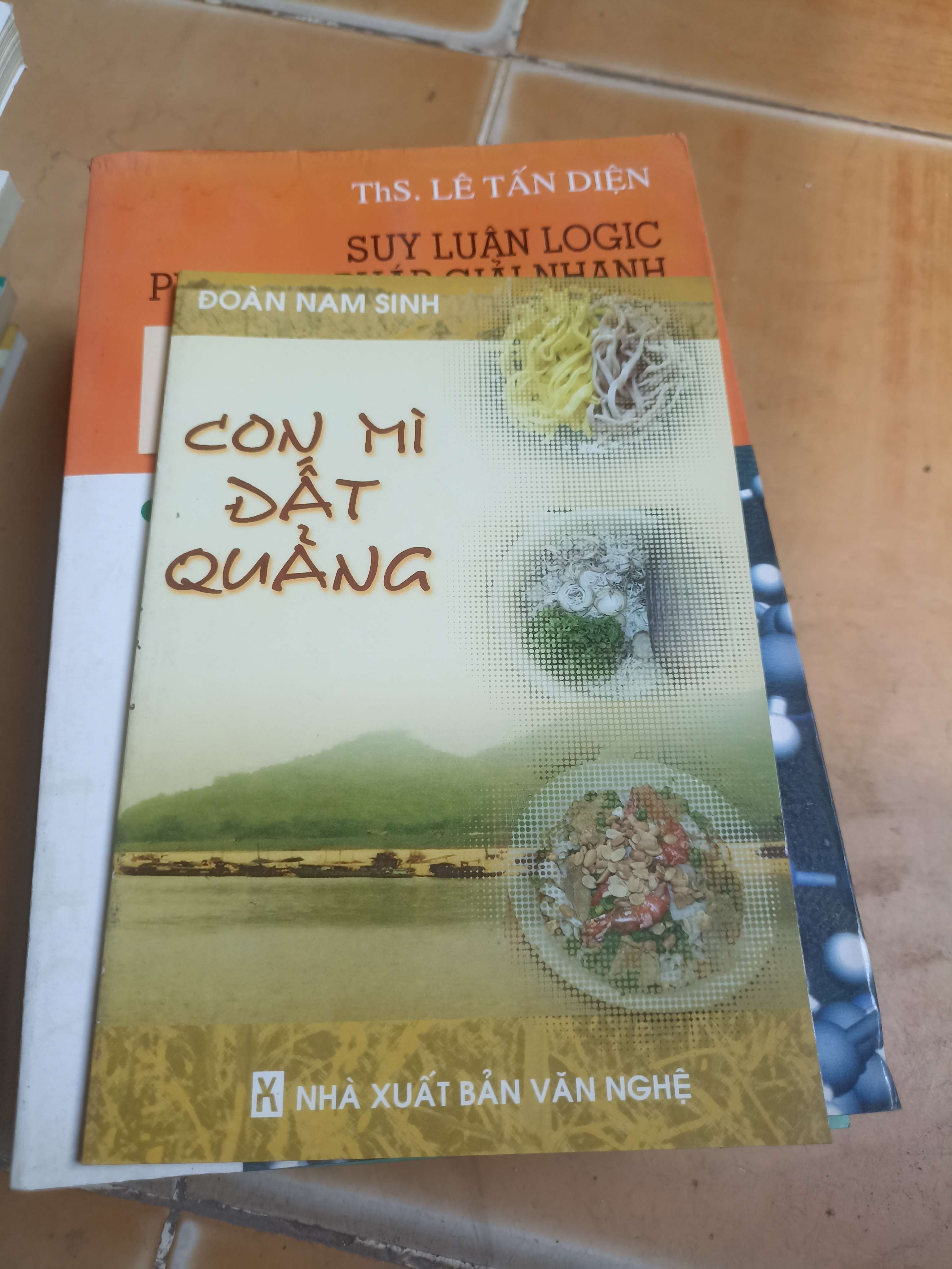Con mì đất quảng - Đoàn Nam Sinh 2007 (Sách kỹ năng) VAVO-A1T3