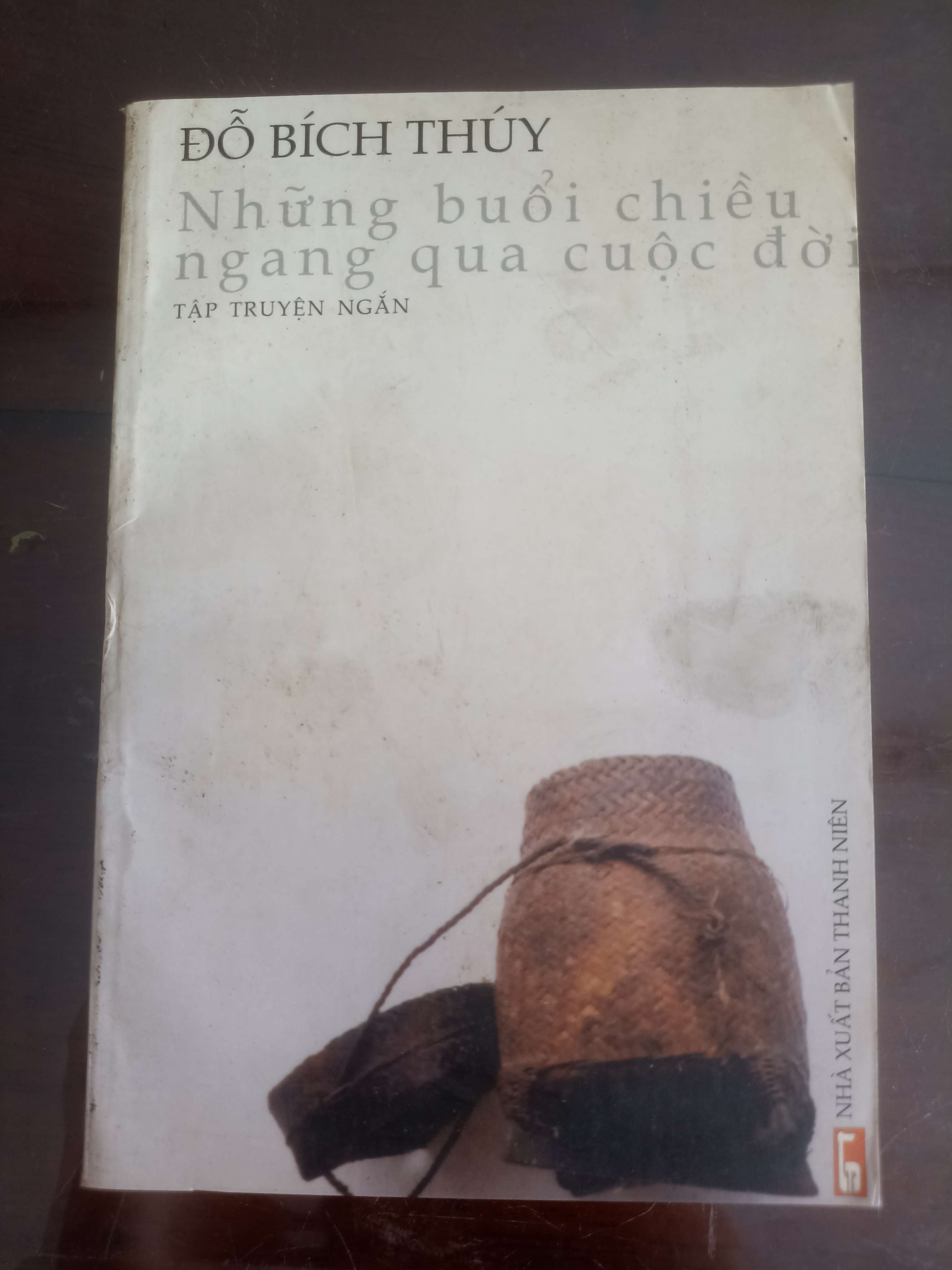 Những Buổi Chiều Ngang Qua Cuộc Đời - Đỗ Bích Thúy (Truyện Ngắn) VAVO