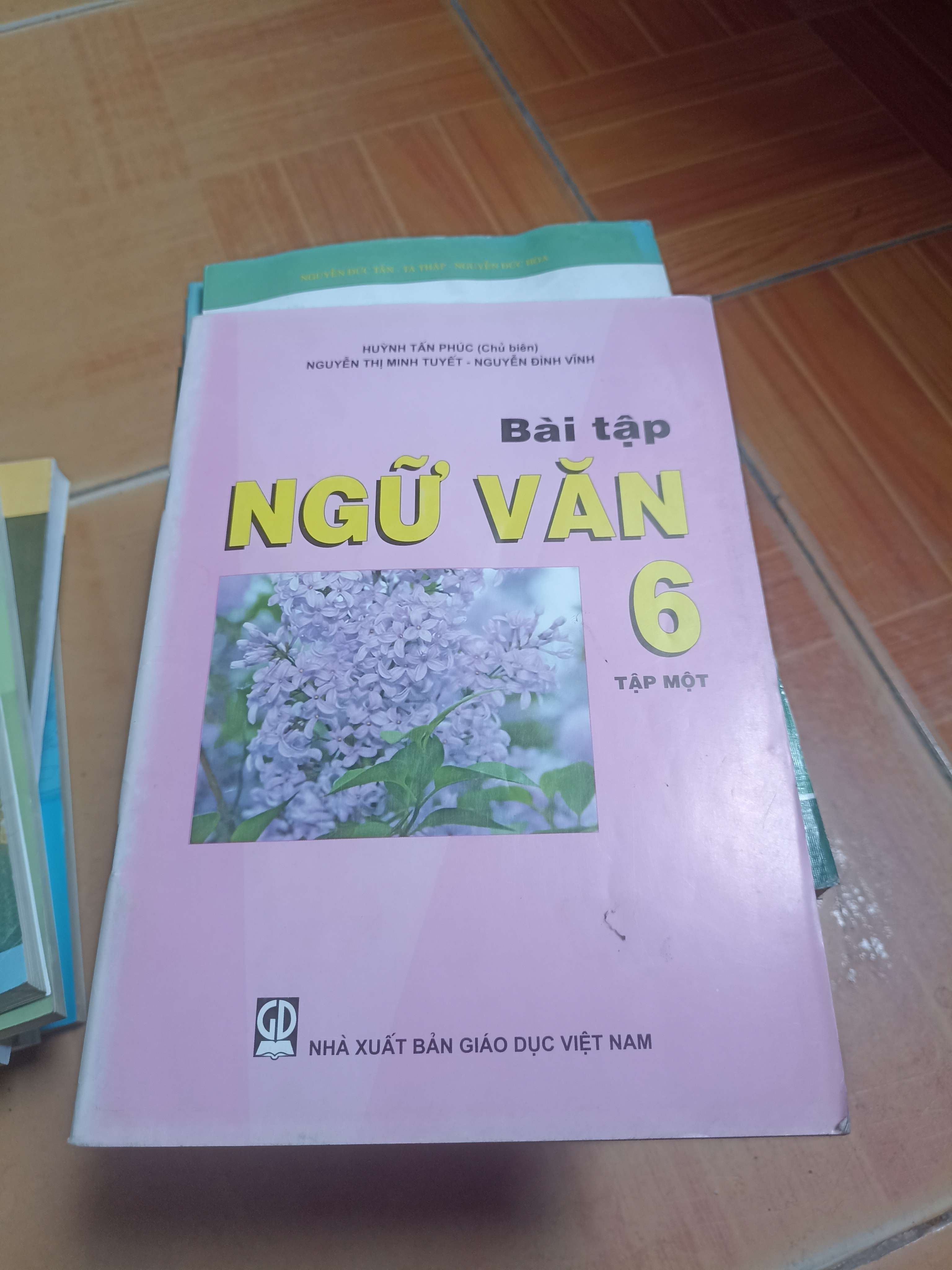 Bài tập ngữ văn 6 tập 1 - Huỳnh Tấn Phúc 2010 (Sách giáo khoa - giáo trình) VAVO-AK4ST1