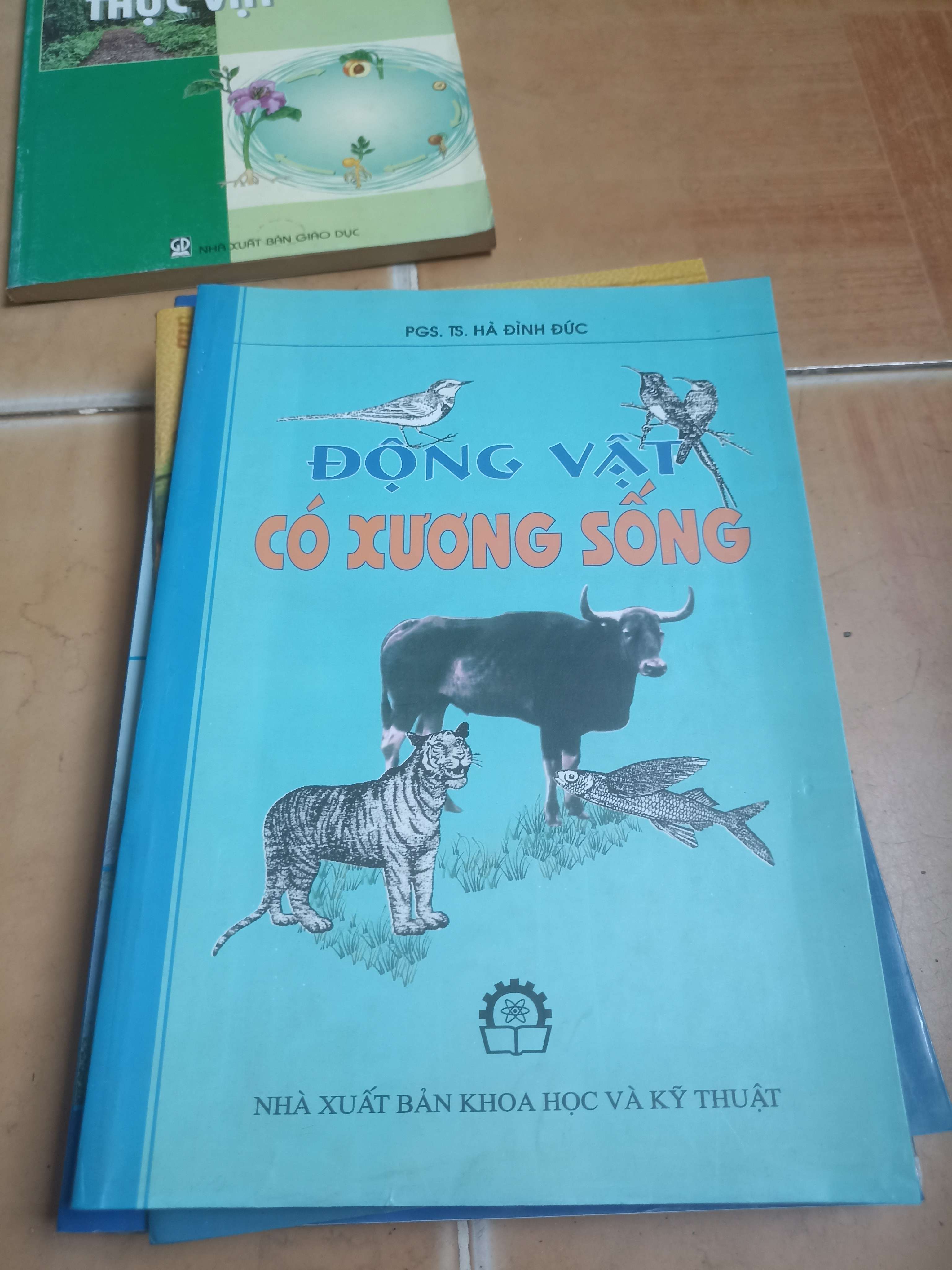 Động vật có xương sống - Hà Đình Đức 2008 (Sách giáo khoa - giáo trình) VAVO-AK4ST1