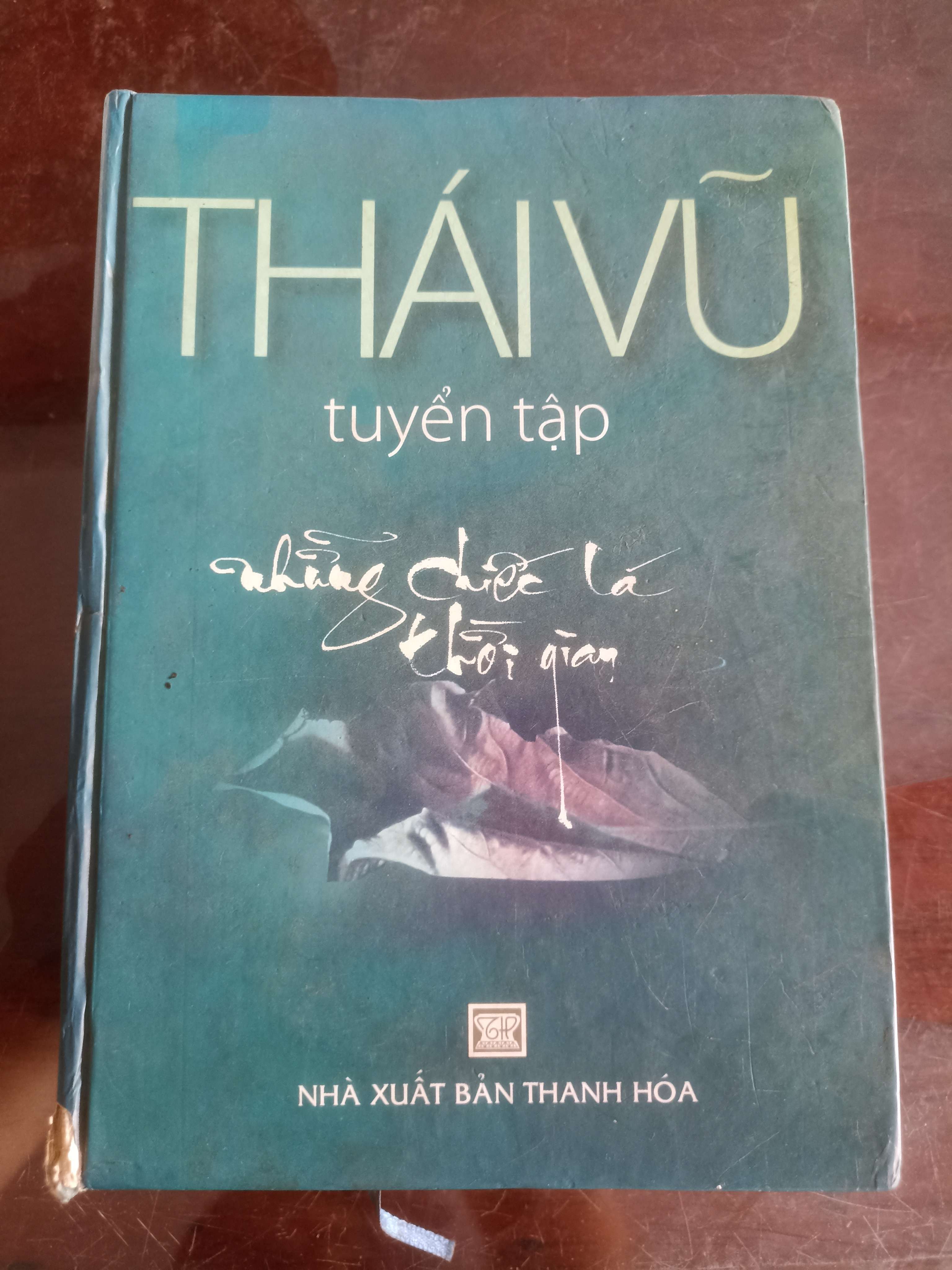 Những Chiếc Lá Thời Gian - Thái Vũ (Văn học Việt Nam) VAVO