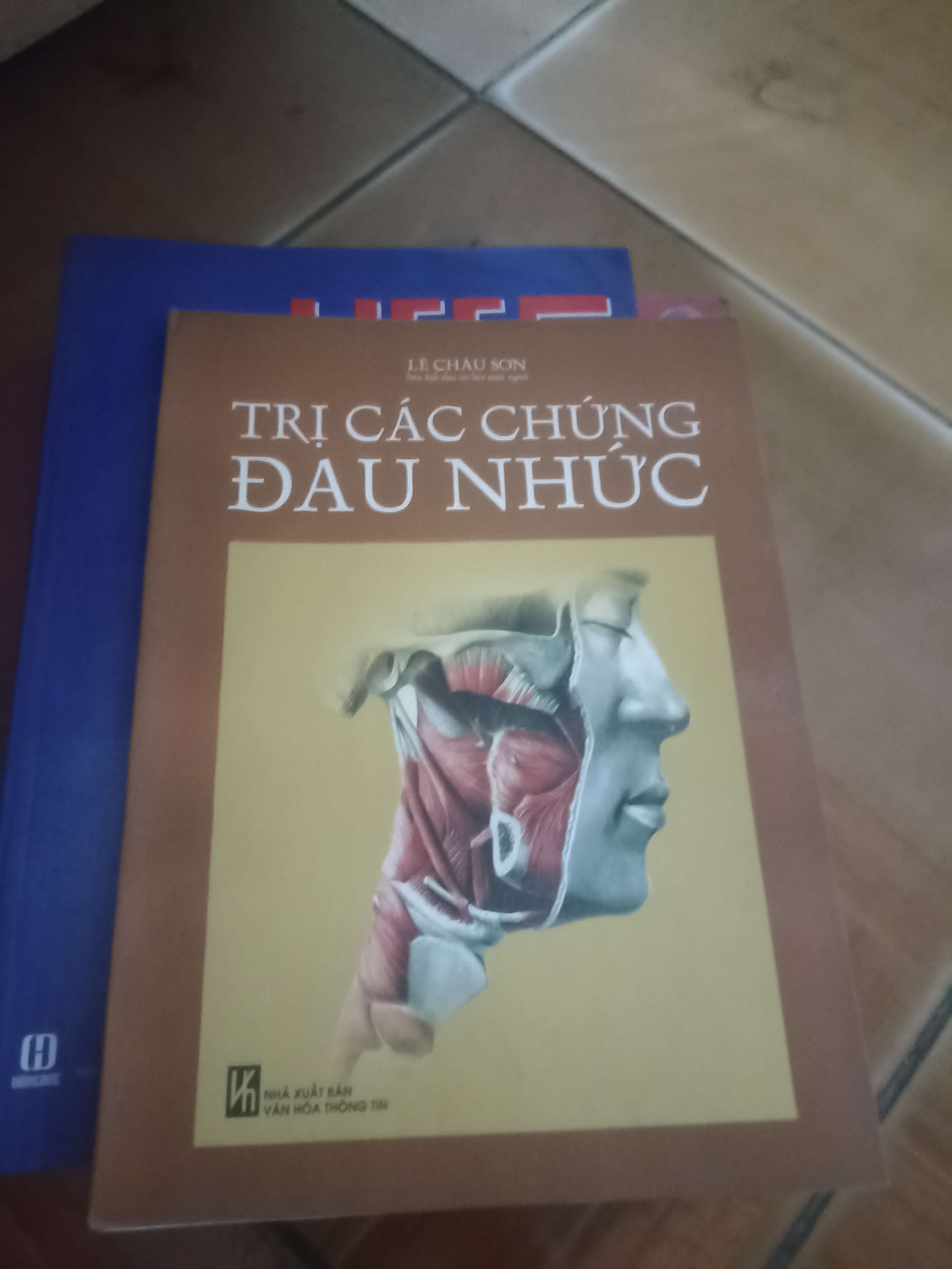 Trị các chứng đau nhức - Lê Châu Sơn 2005 (Sách giáo khoa - giáo trình) VAVO-AK4ST4