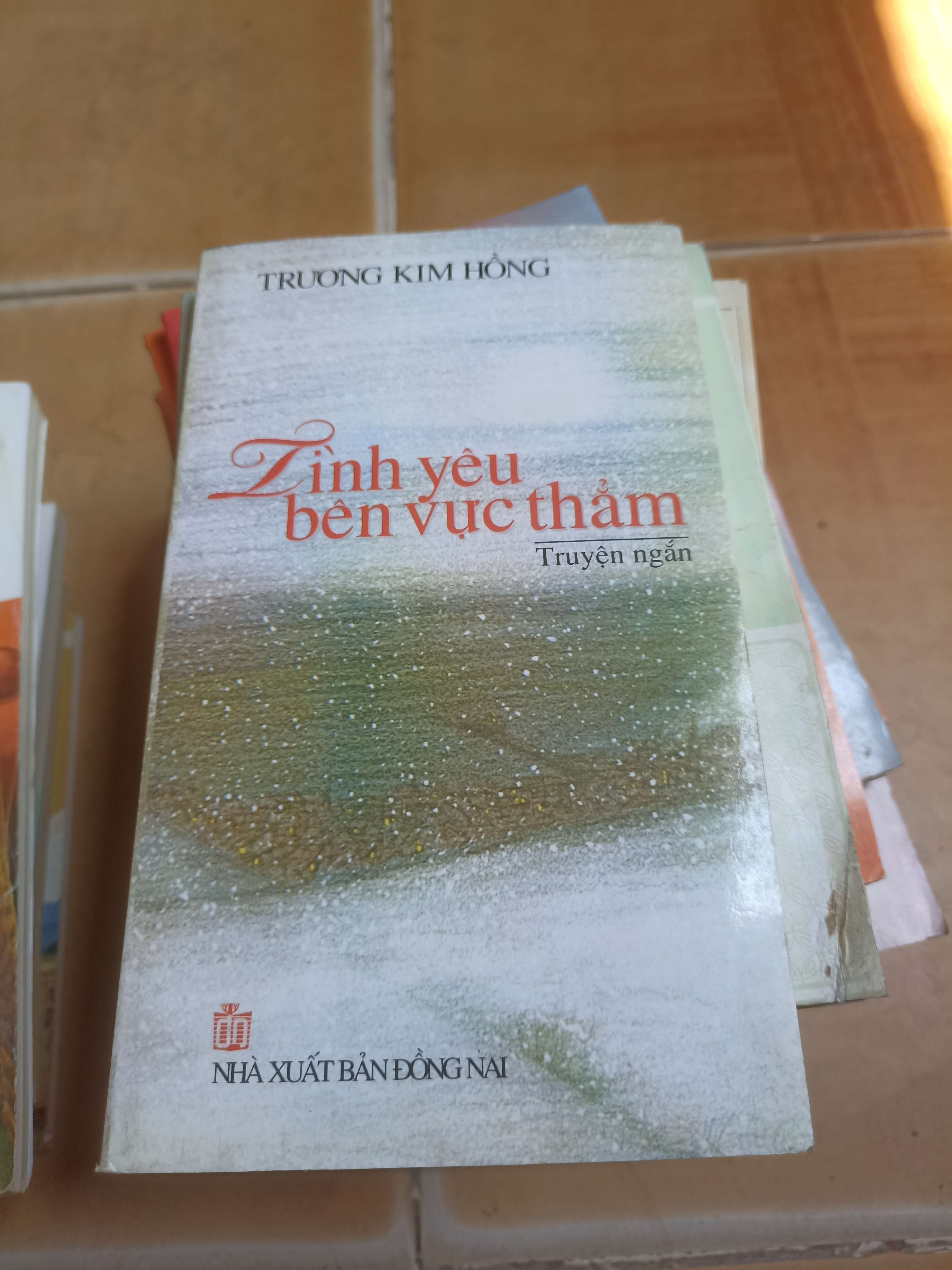 Tình yêu bên vực thẳm - Trương Kim Hồng 2011 (Truyện Ngắn) VAVO-A1T3