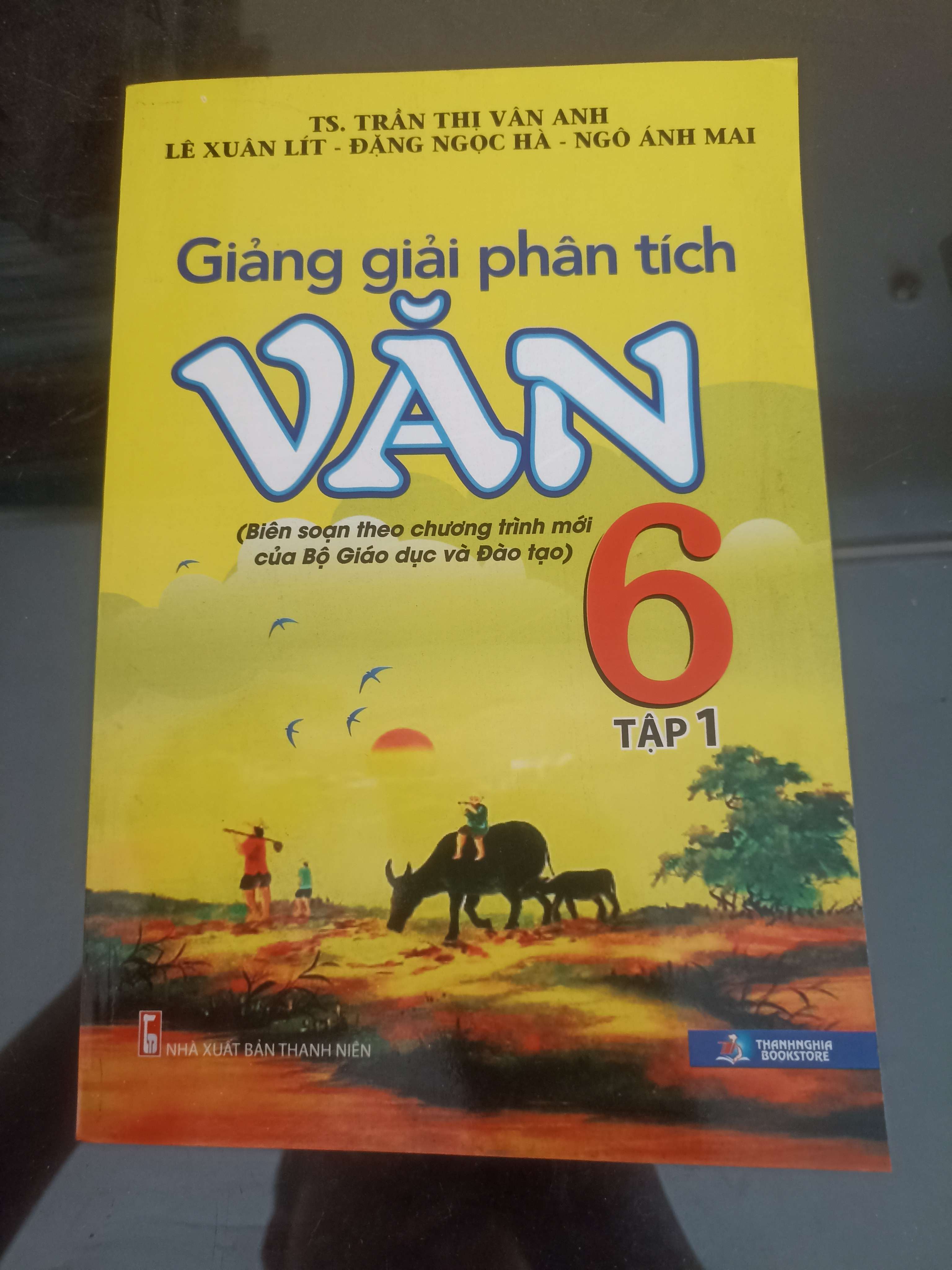 Giảng Giải Phân Tích Văn 6 (Tập 1) - TS. Trần Thị Vân Anh, Lê Xuân Lít, Đặng Ngọc Hà & Ngô Ánh Mai 2016 (Tham khảo - luyện thi) VAVO