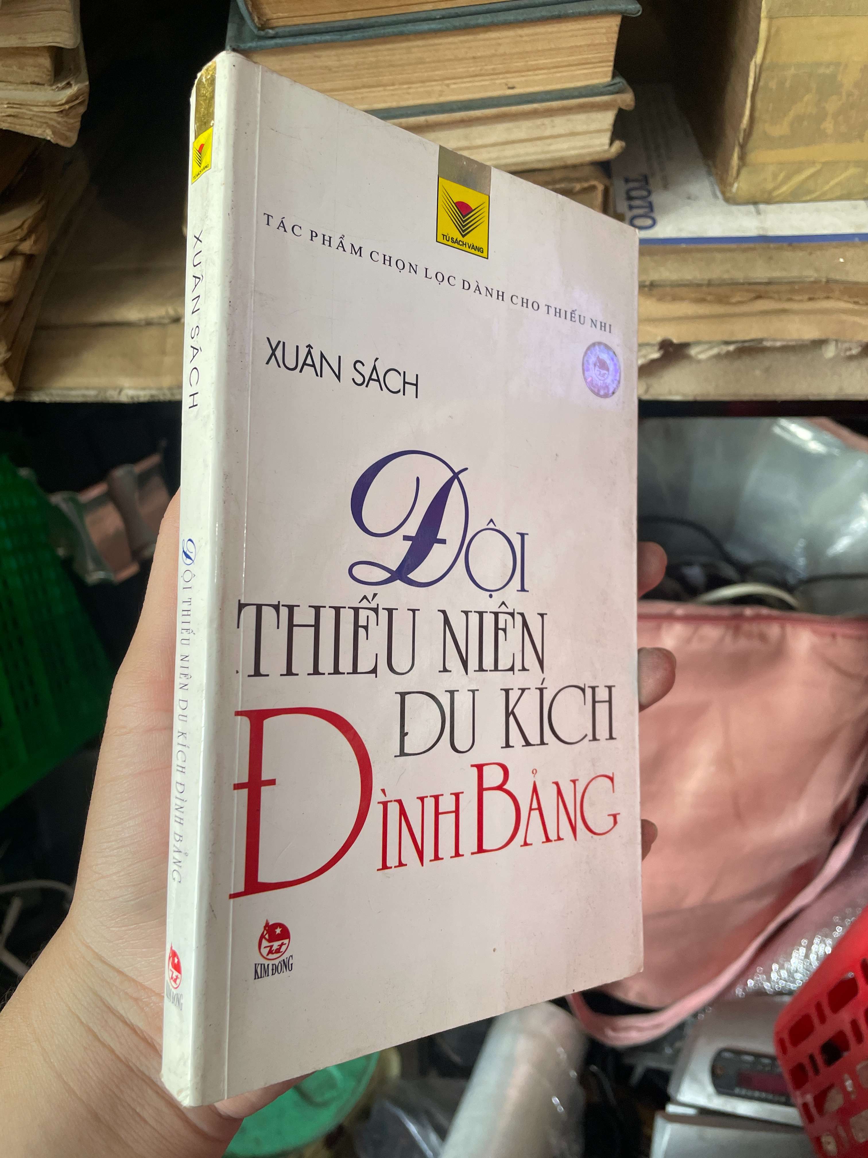 Đội Thiếu Niên Du Kích Đình Bảng - Xuân Sách (Sách văn học) KSX