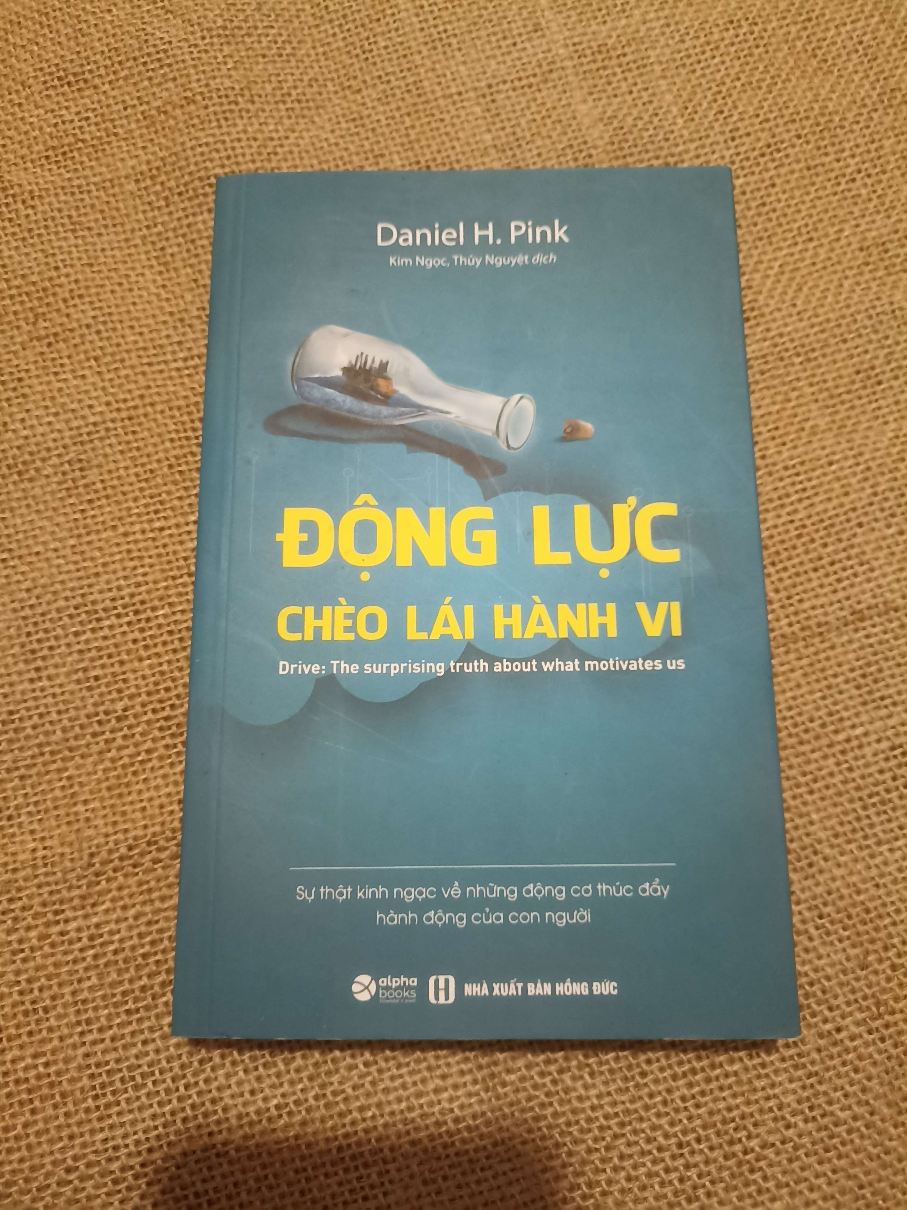 Động lực chèo lái hành vi - Daniel H.Pink Mới 90% (Kỹ năng sống) VAVO