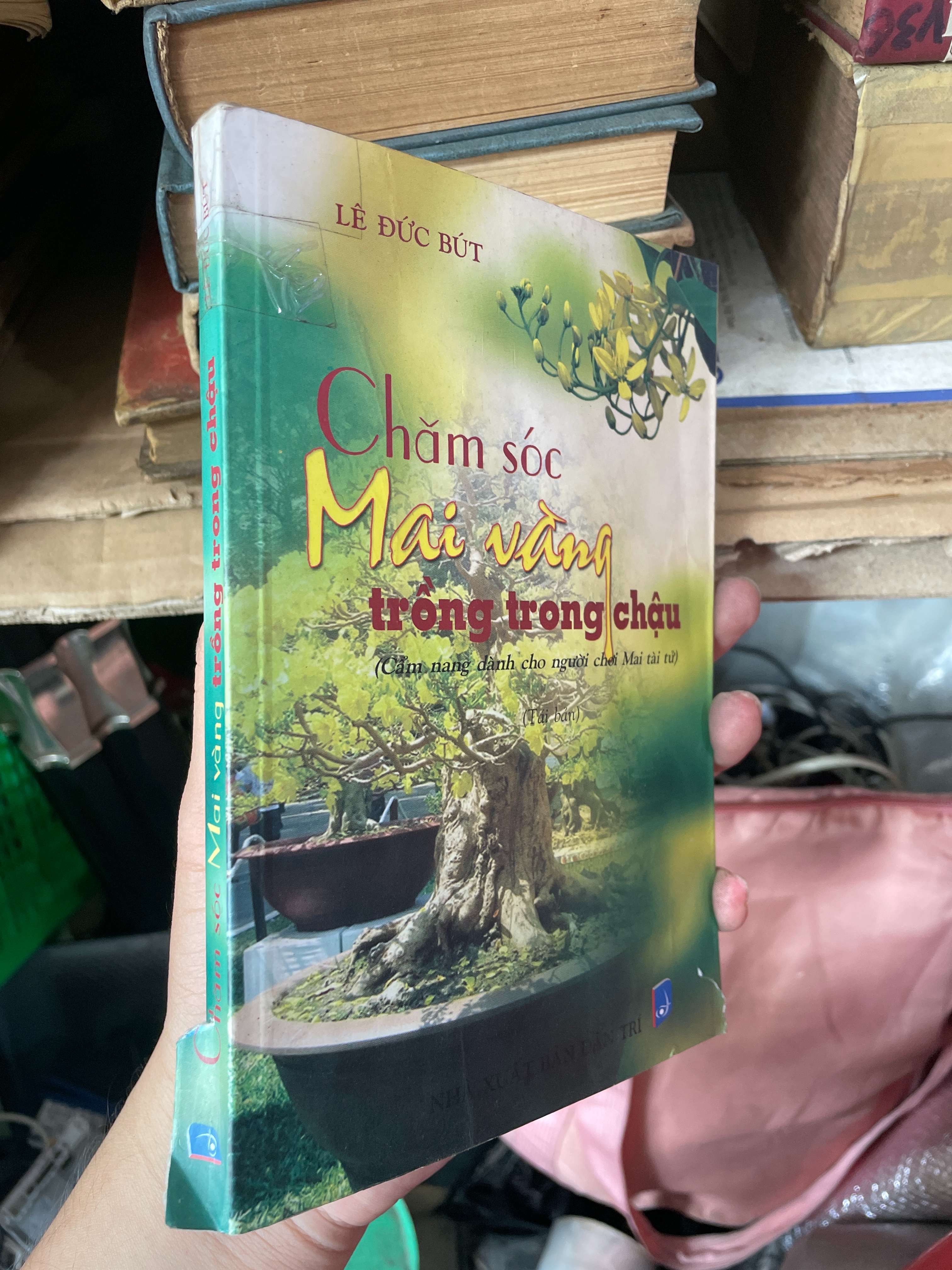 Chăm Sóc Mai Vàng Trồng Trong Chậu - Lê Đức Bút (Sách kiến thức tổng hợp) KSX