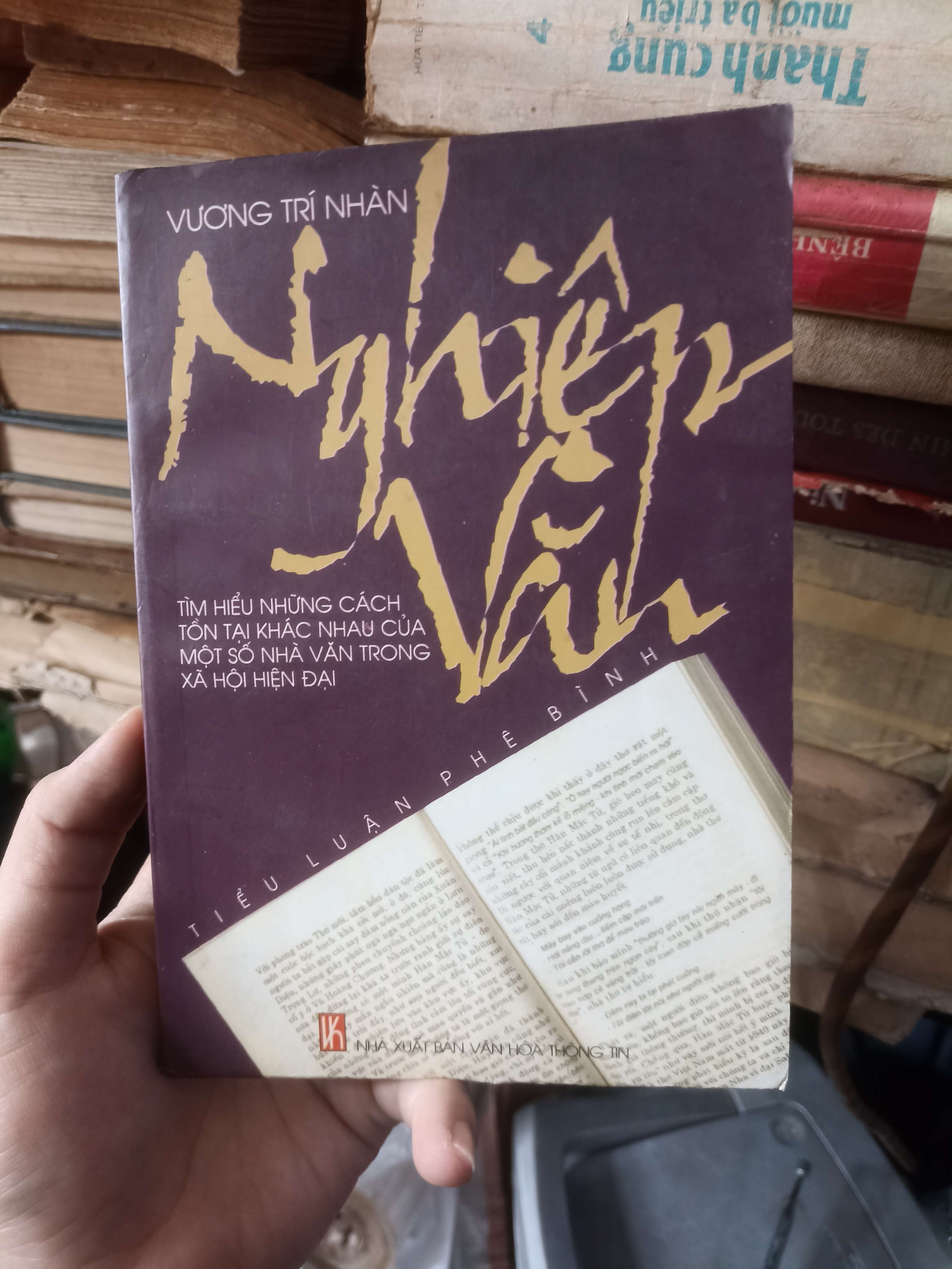 Nghiện Văn - Vương Trí Nhàn (Sách văn học) KSX