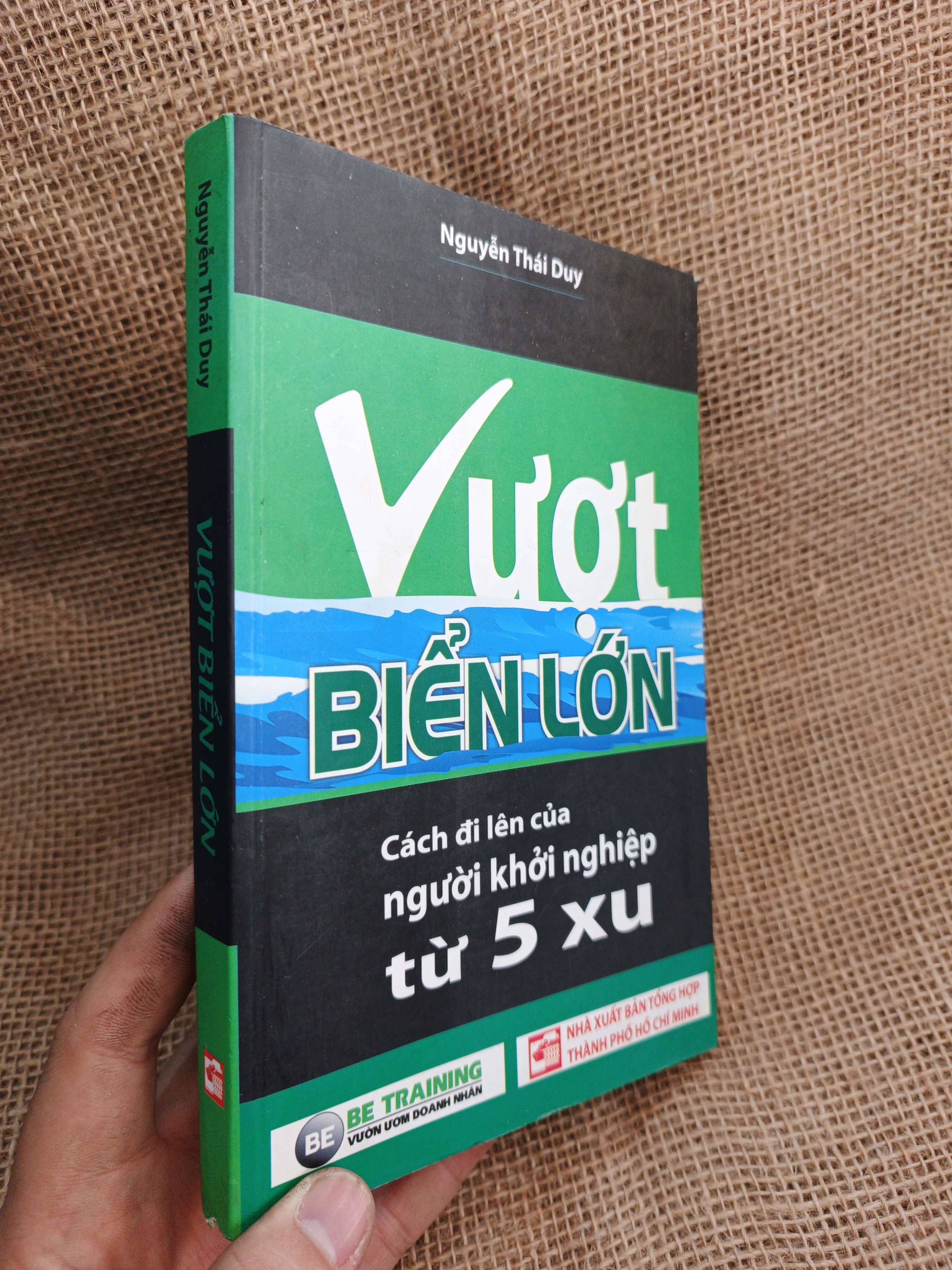 Vượt Biển Lớn: Cách Đi Lên Của Người Khởi Nghiệp Từ 5 Xu - Nguyễn Thái Duy 2017 mới 80% ố (Sách kinh tế - tài chính - chứng khoán) HLSC