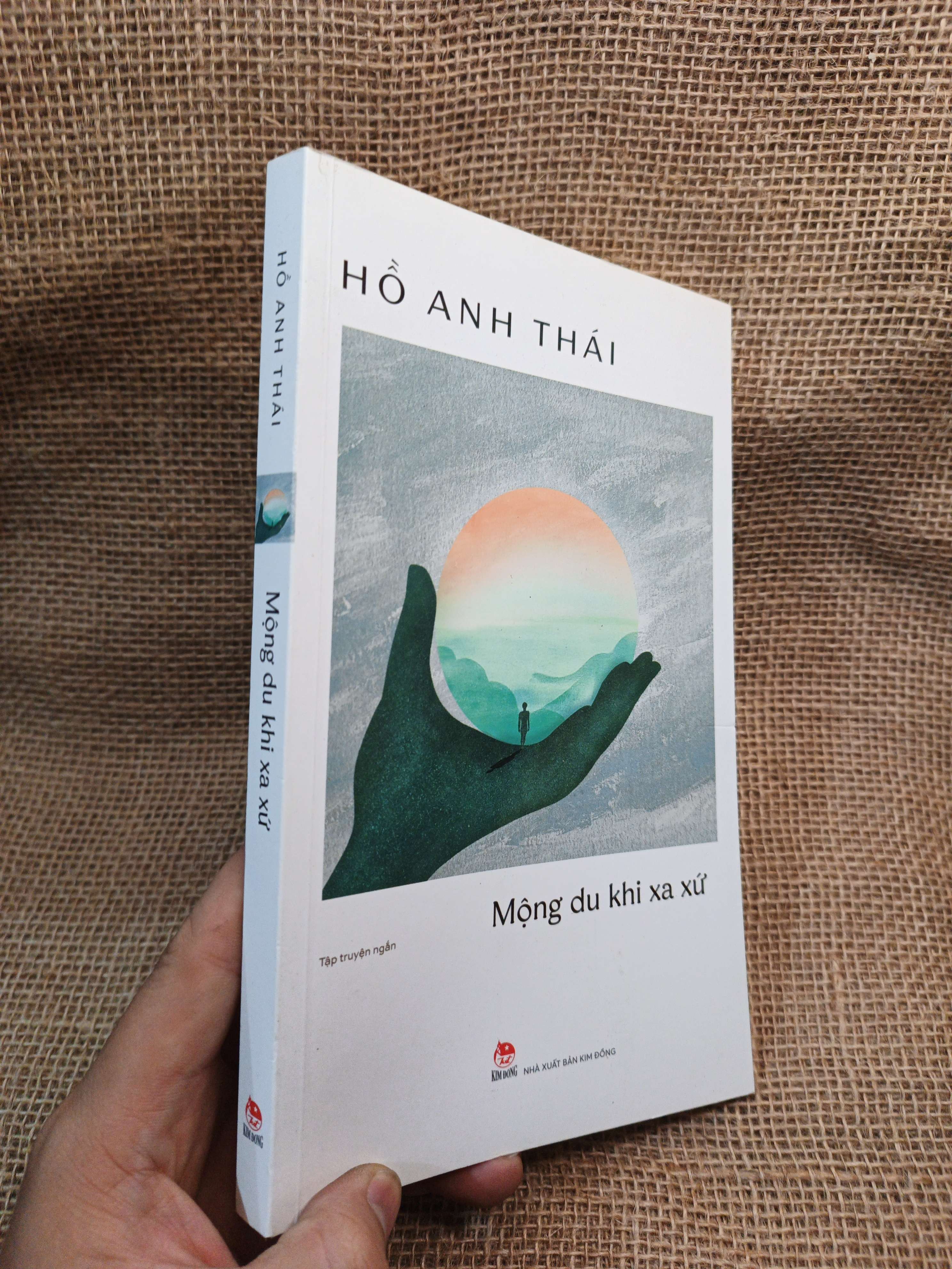 Mộng Du Khi Xa Xứ - Hồ Anh Thái 2025 mới 90% (Sách văn học) HMT