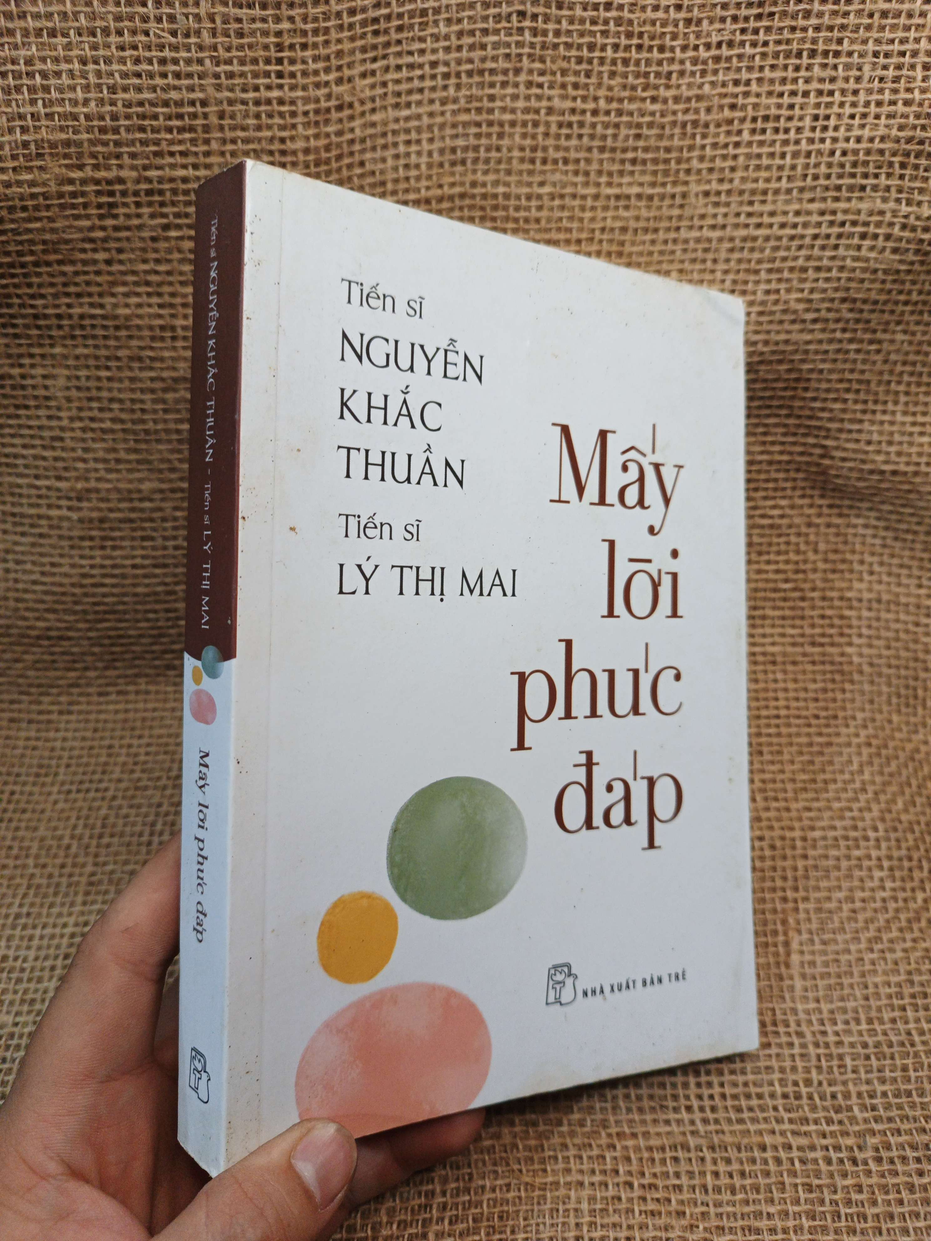 Mấy Lời Phúc Đáp - Nguyễn Khắc Thuần, Lý Thị Mai 2021 mới 90% bẩn nhẹ (Sách văn học) HMT
