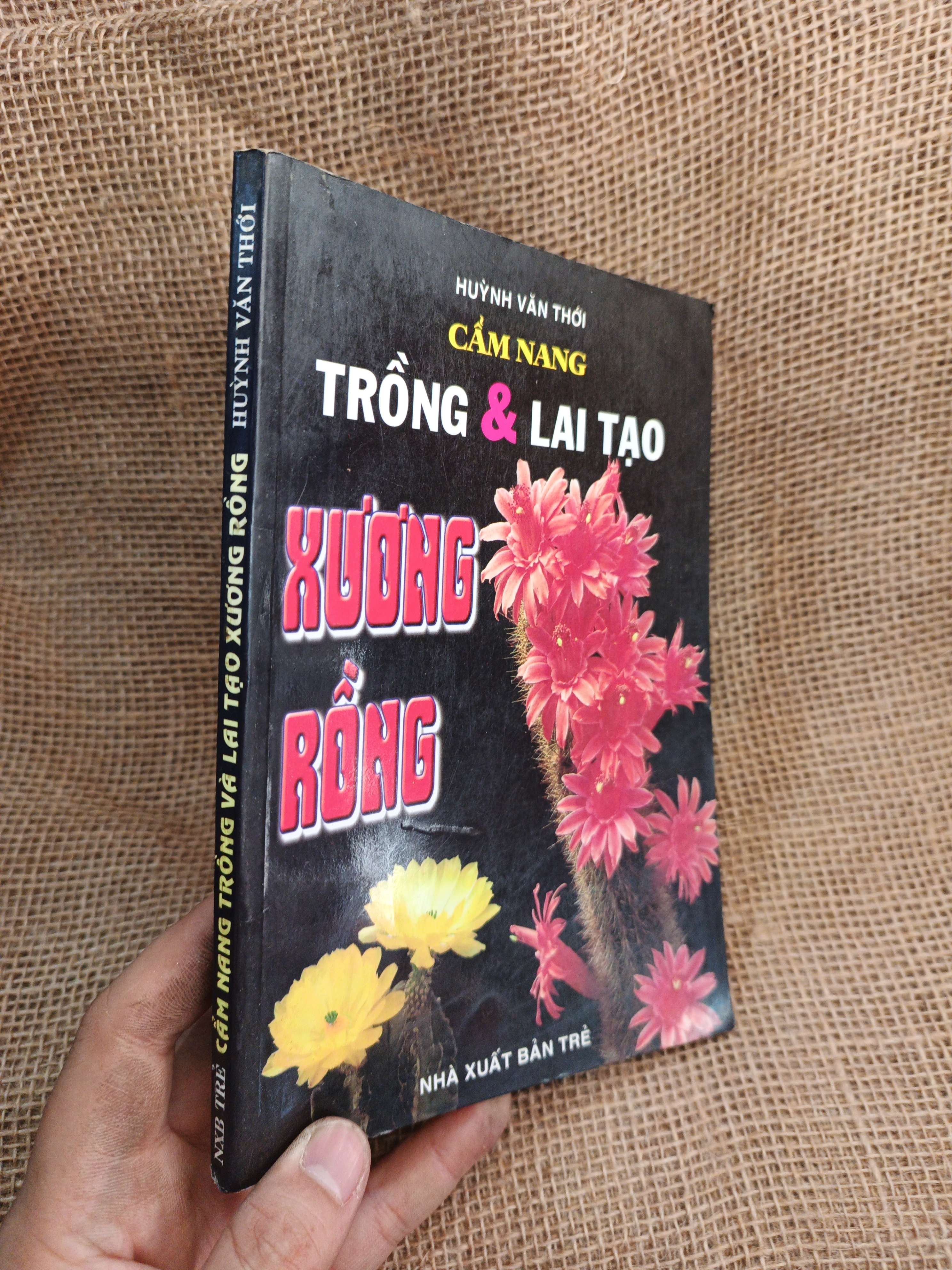 Cẩm Nang Trồng & Lai Tạo Xương Rồng - Huỳnh Văn Thới 2004 mới 80% ố (Sách kỹ năng) HLSC