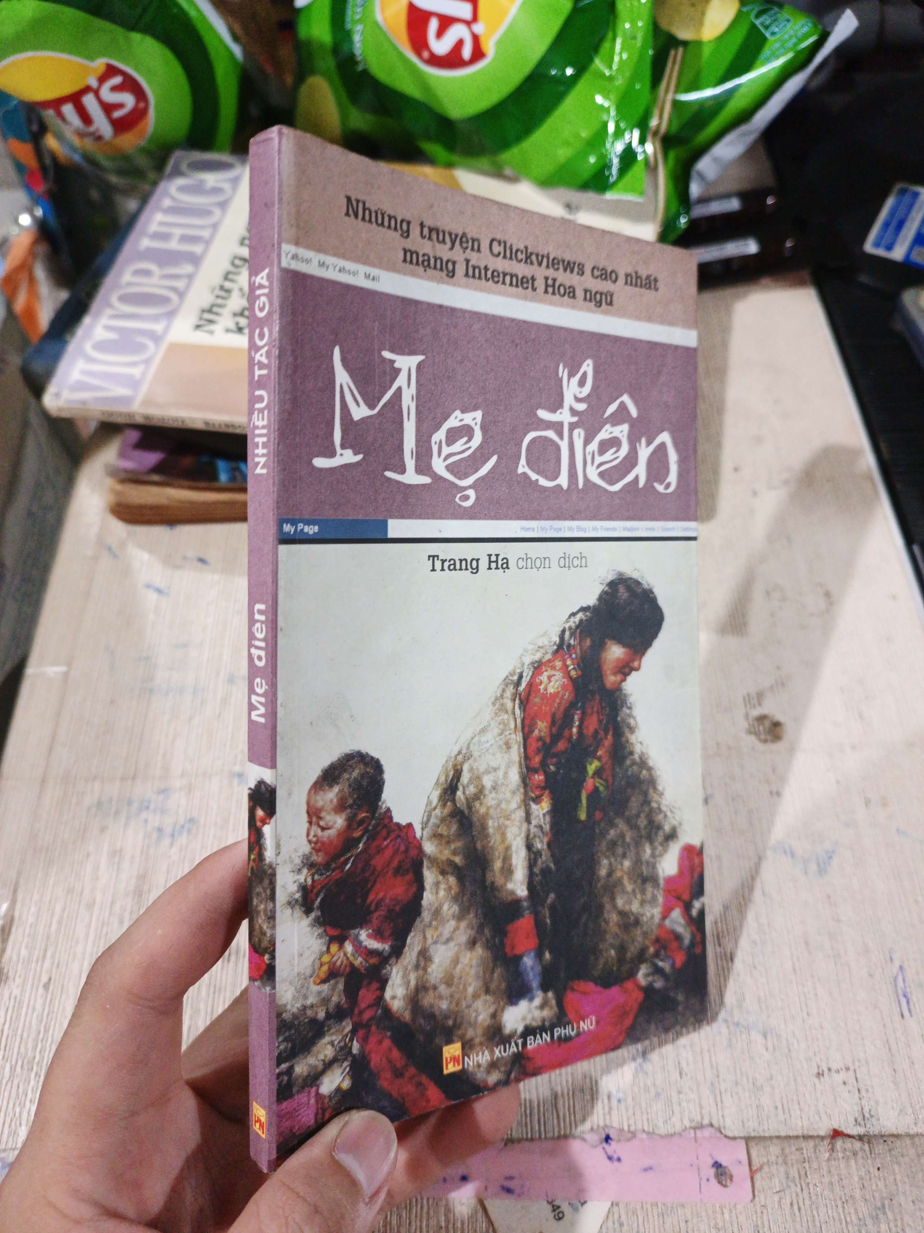 Mẹ Điên - Trang Hạ 2008 mới 80% ố nhẹ (Sách văn học) HLSC