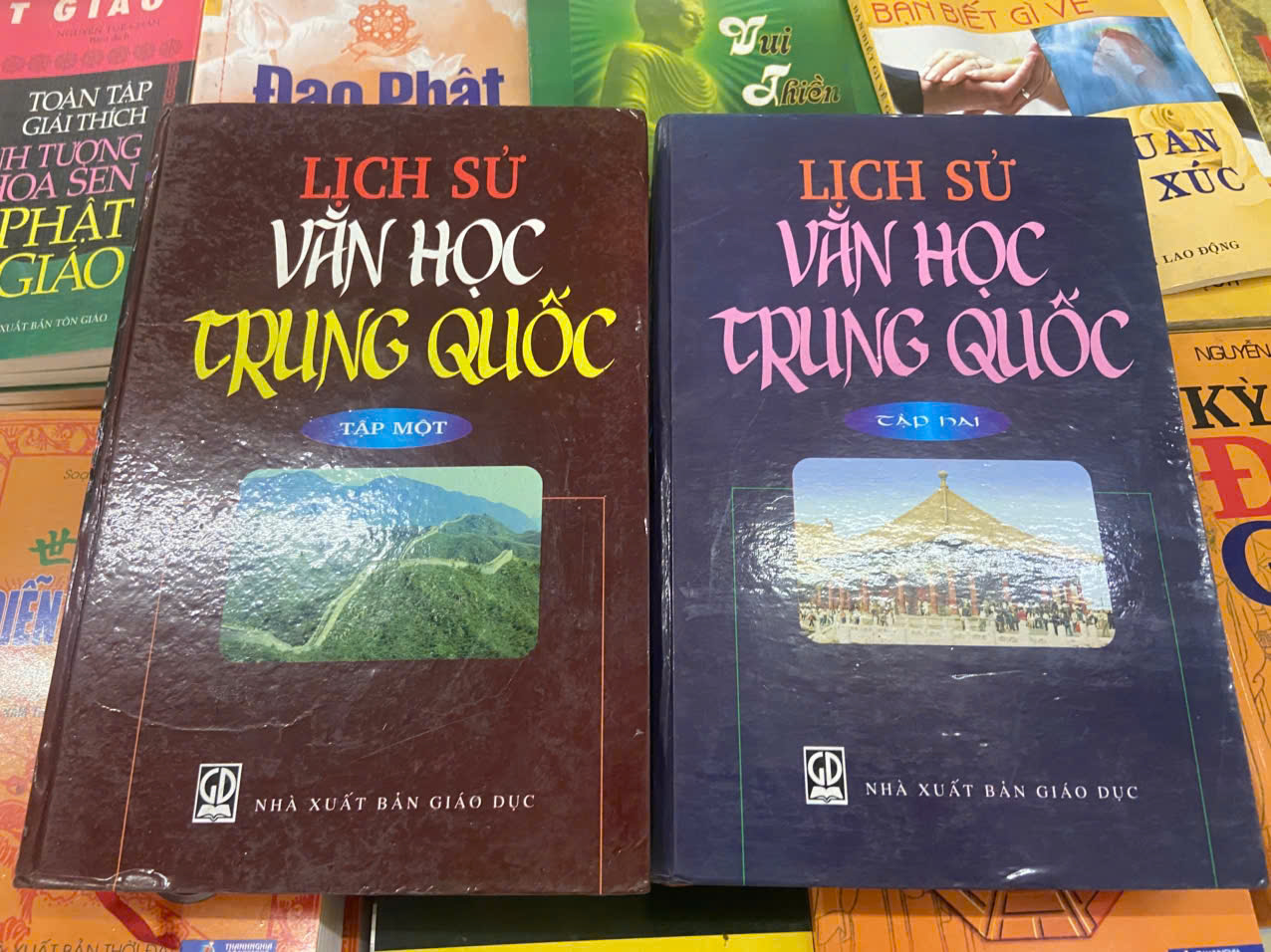 Lịch sử văn học Trung Quốc (Bộ 2 tập bìa cứng) (Sách văn học) VAVO