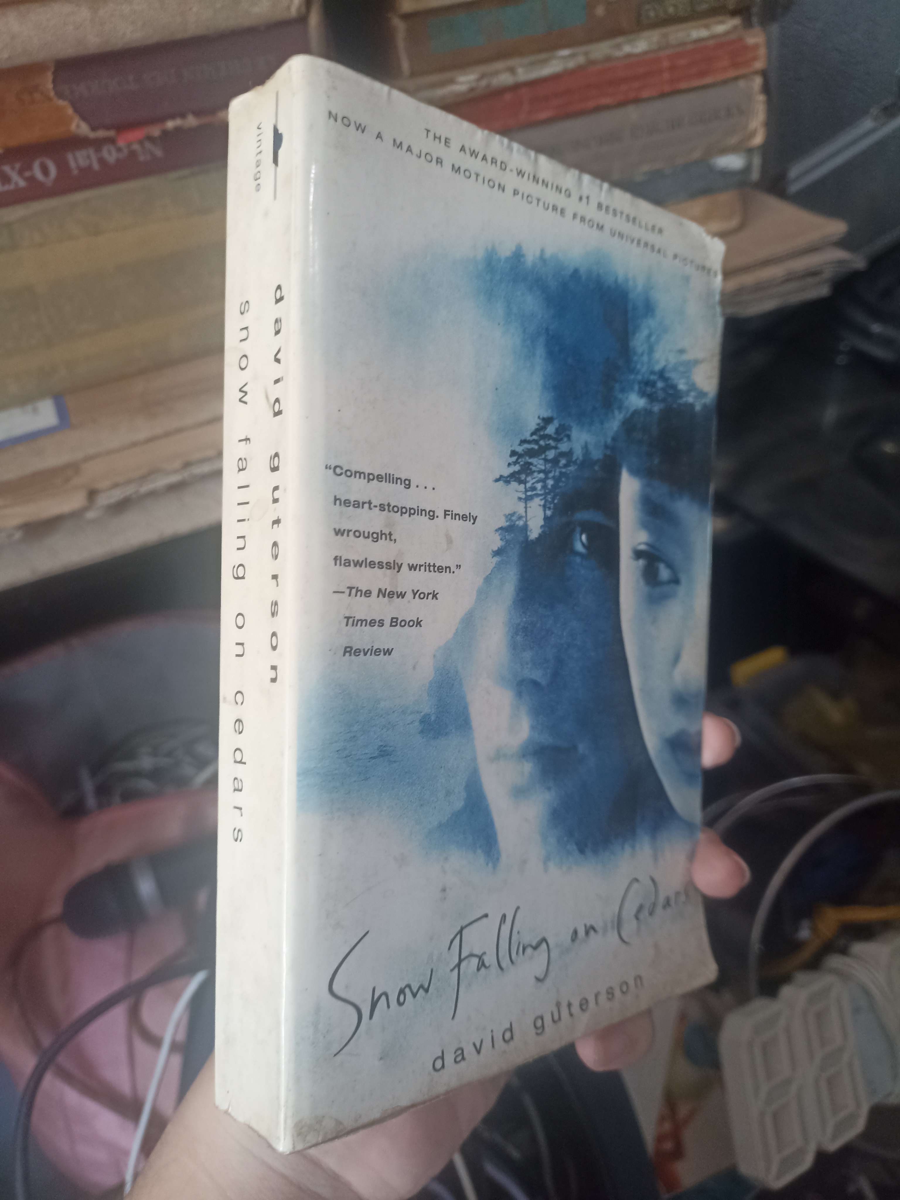 Tuyết Rơi Trên Rừng Tuyết Tùng - David Guterson 1990 (Văn học nước ngoài) KSX