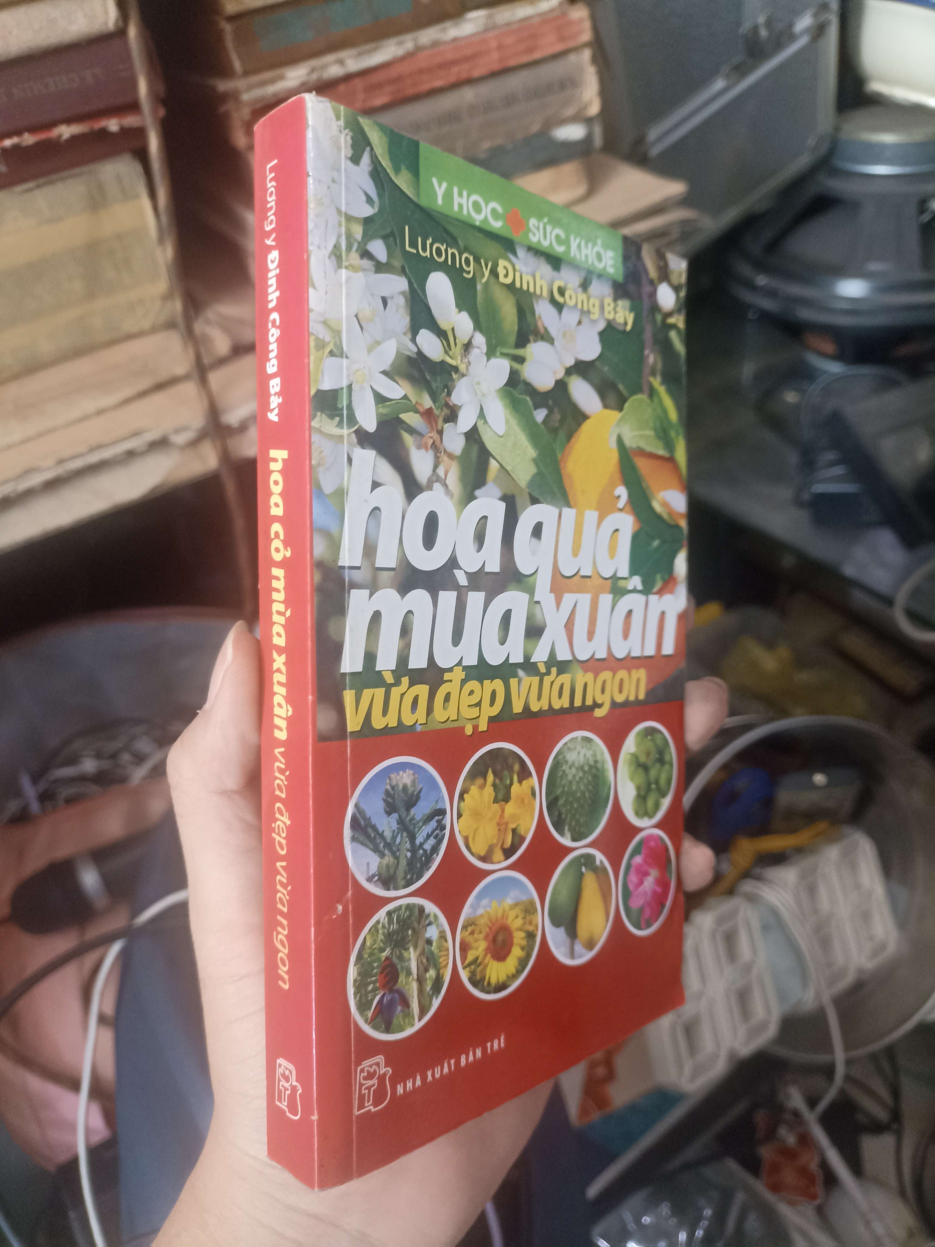 Hoa Quả Mùa Xuân Vừa Đẹp Vừa Ngon - Lương y Đinh Công Bảy 2013 (Sách kiến thức tổng hợp) KSX