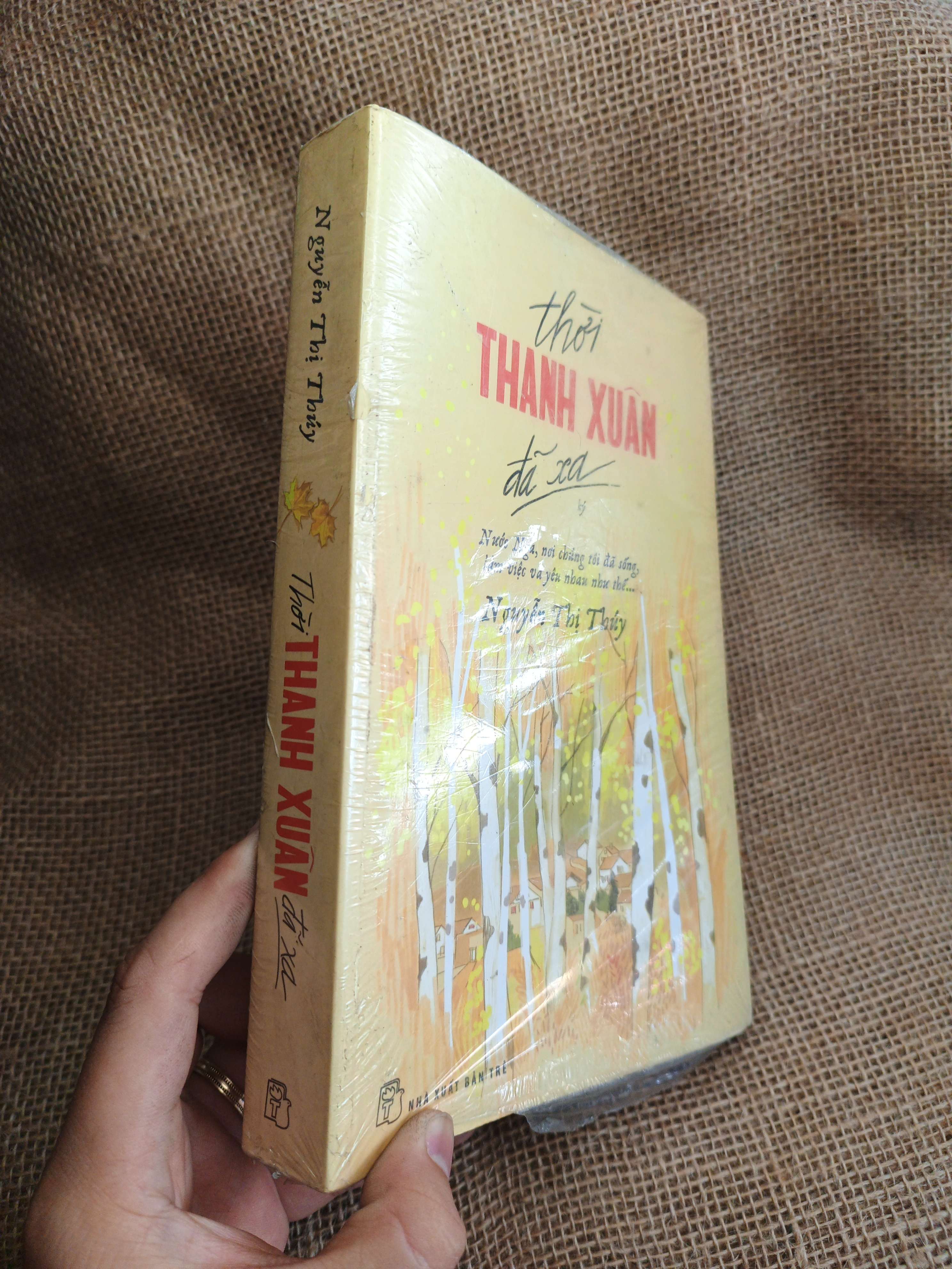 Thời Thanh Xuân Đã Xa - Nguyễn Thị Thúy mới 80% ố (Sách văn học) HLSC