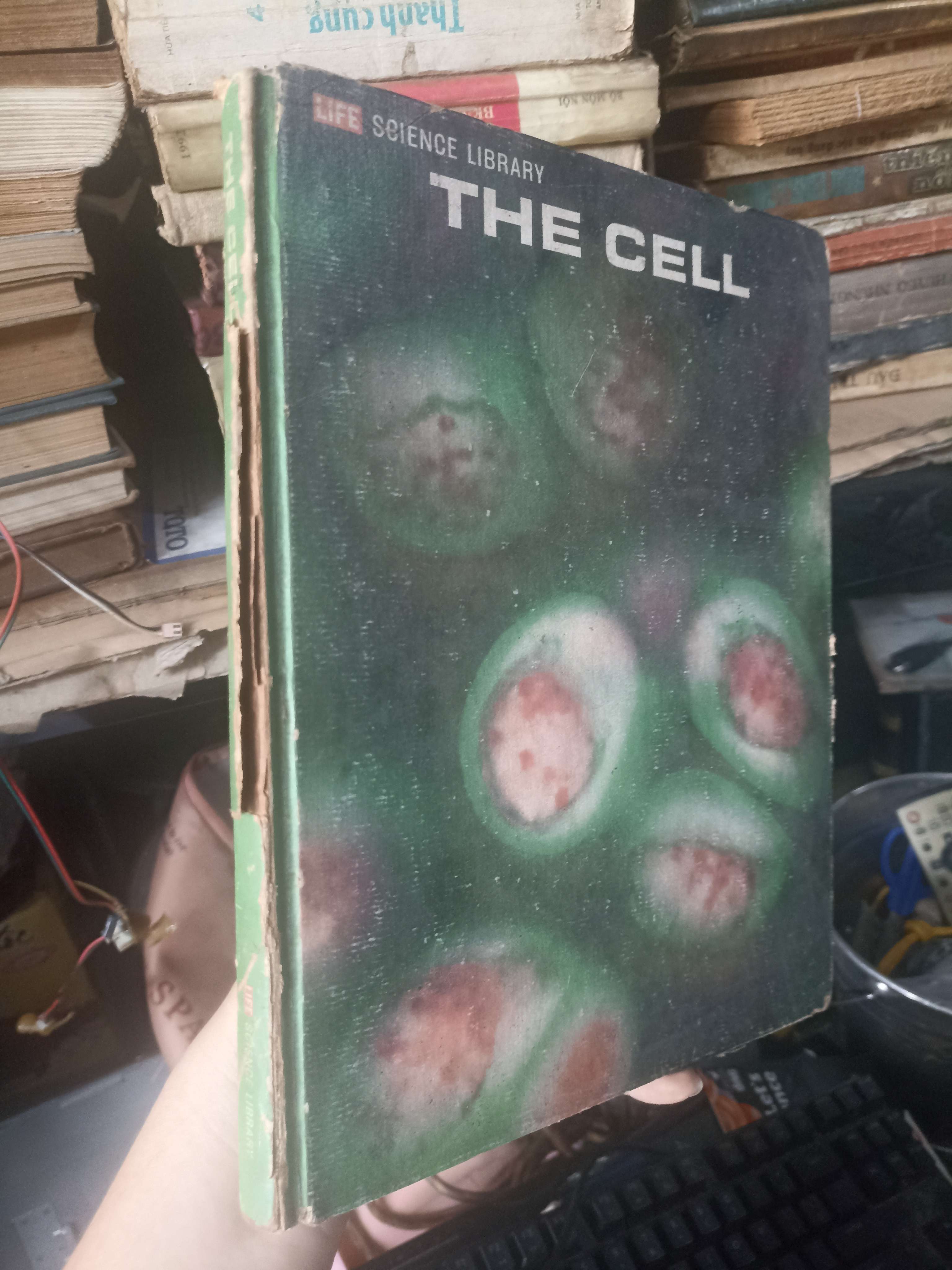The Cell 1964 (Sách kiến thức tổng hợp) KSX