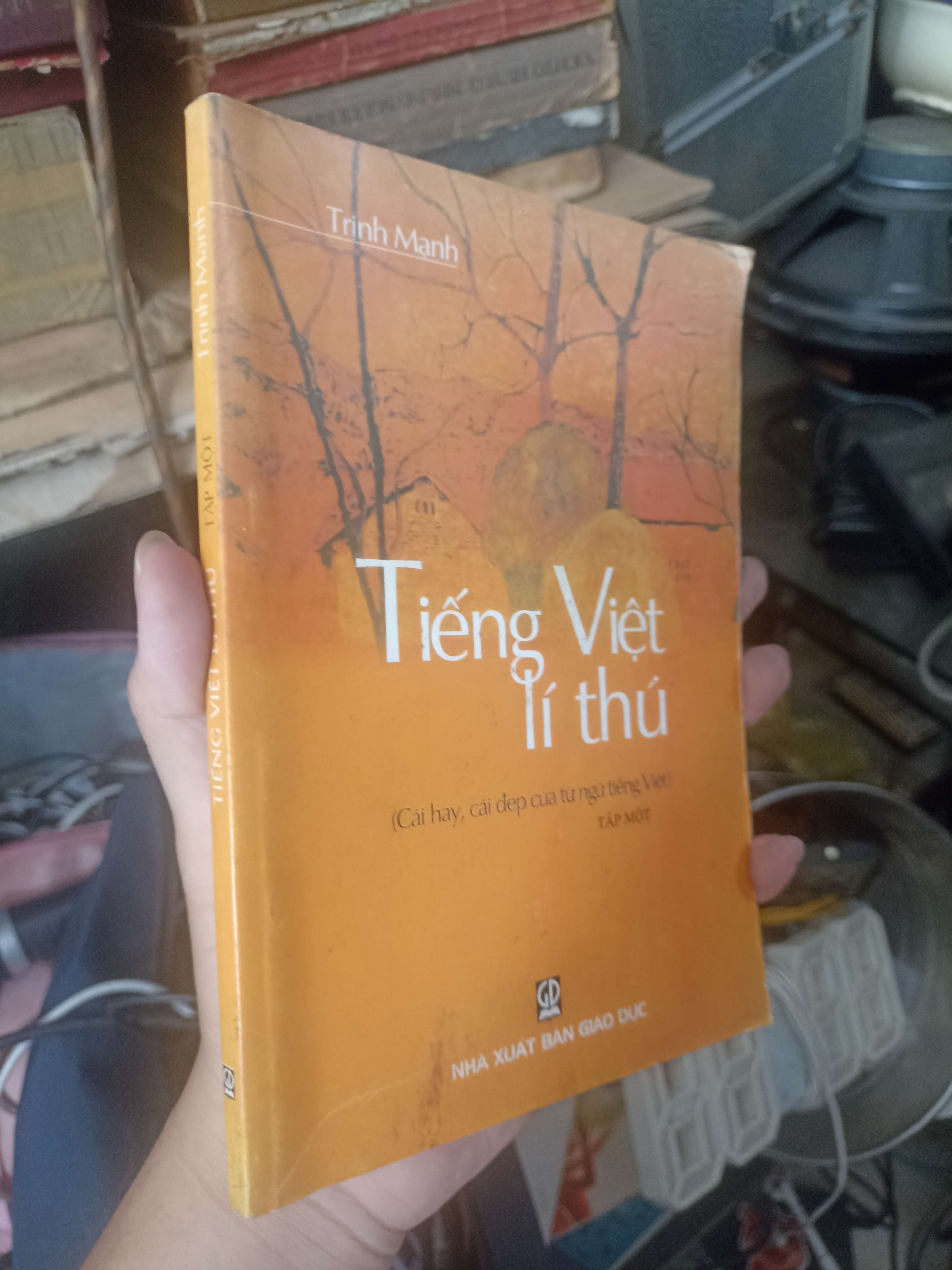 Tiếng Việt Lí Thú - Trịnh Mạnh 2003 (Văn học Việt Nam) KSX