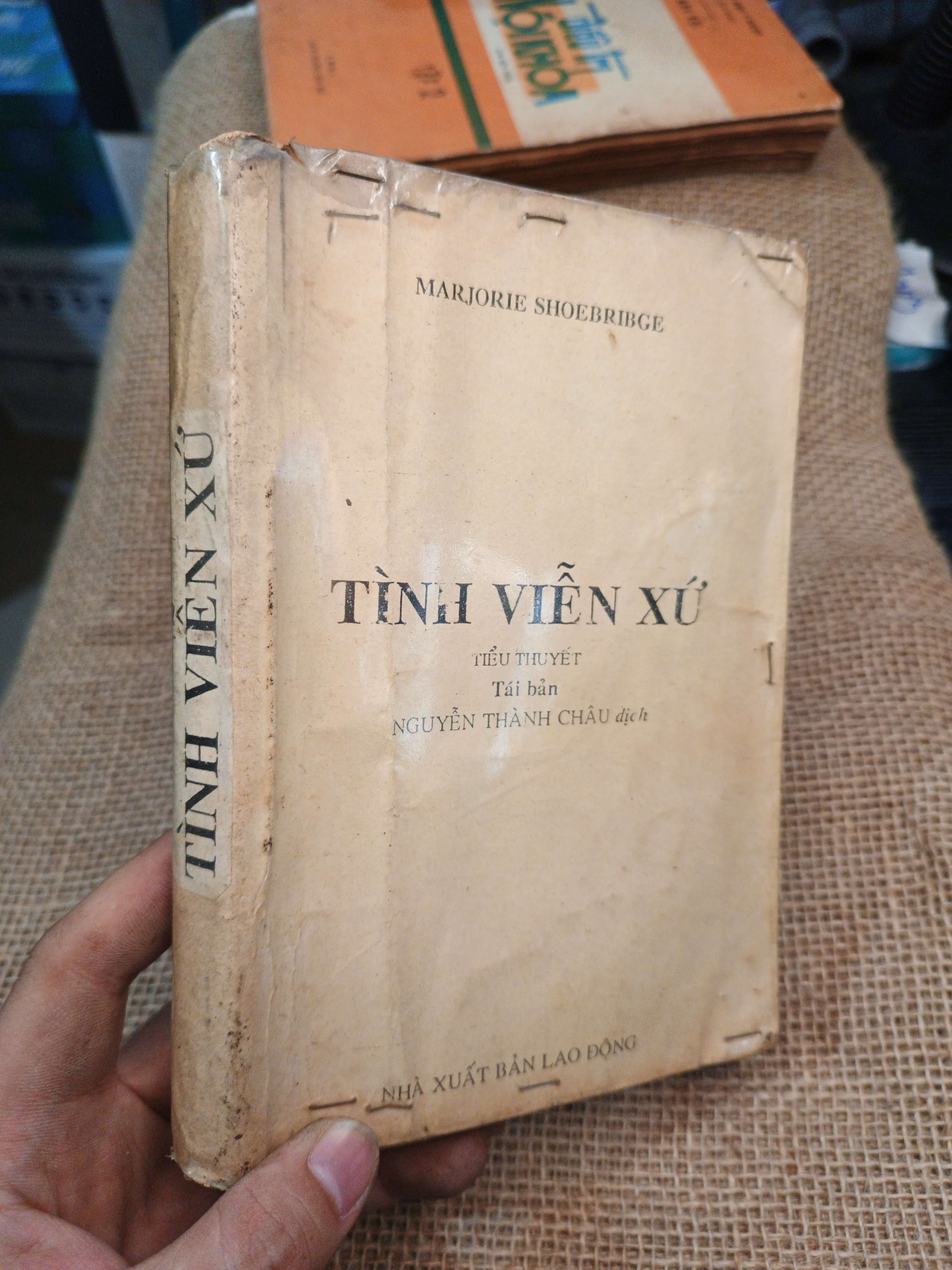 Tình Viễn Xứ - Marjorie Shoebridge mới 80% ố (Tiểu Thuyết) HLSC